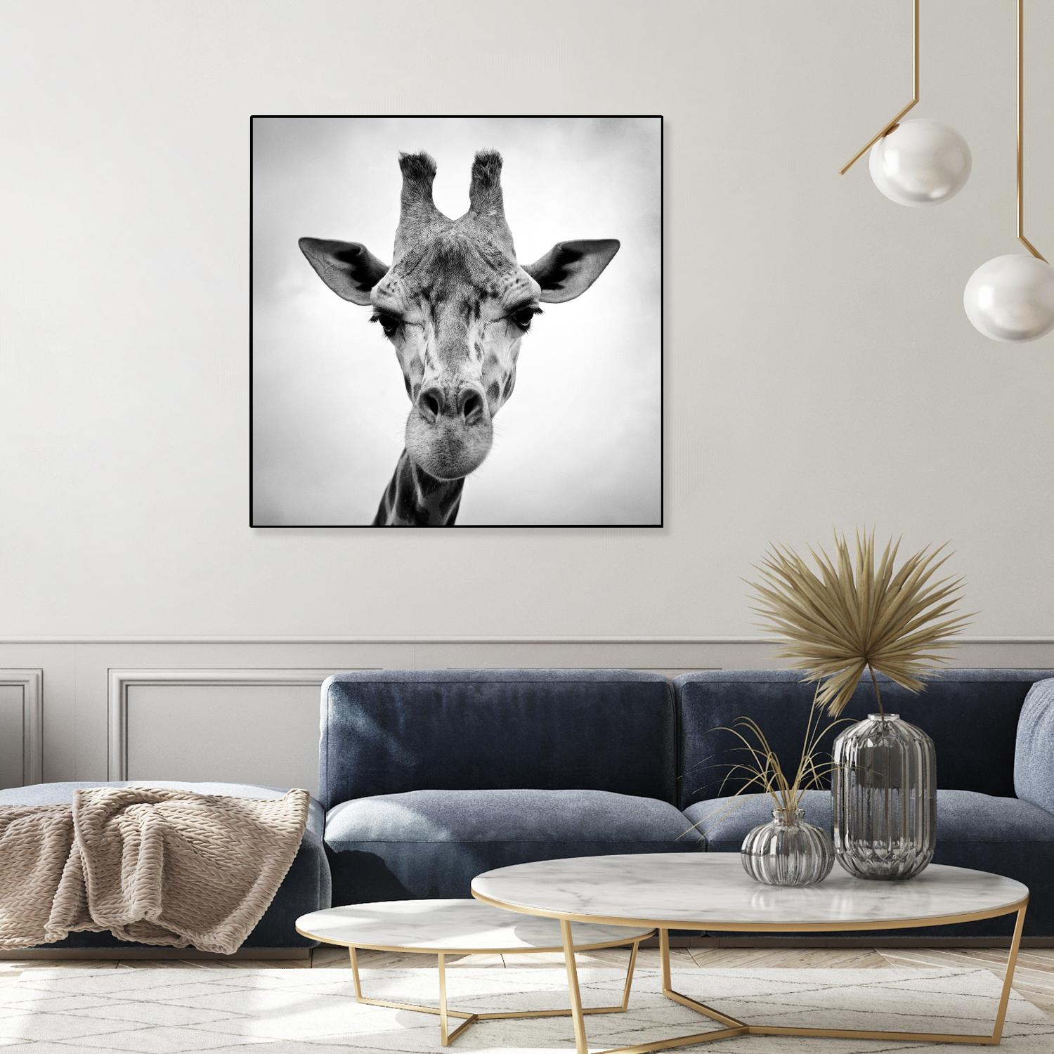 Giraffe by PhotoINC Studio on GIANT ART - white animals