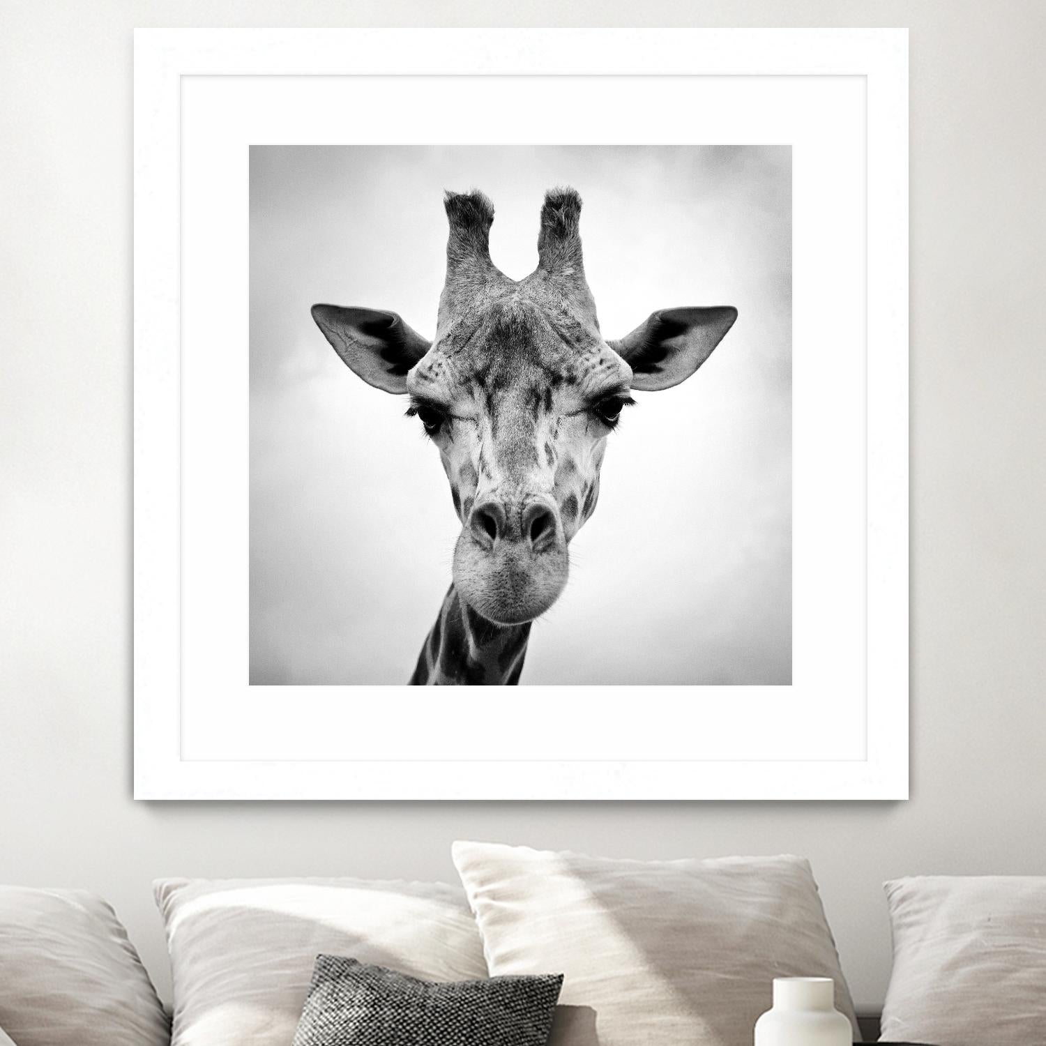 Giraffe by PhotoINC Studio on GIANT ART - white animals