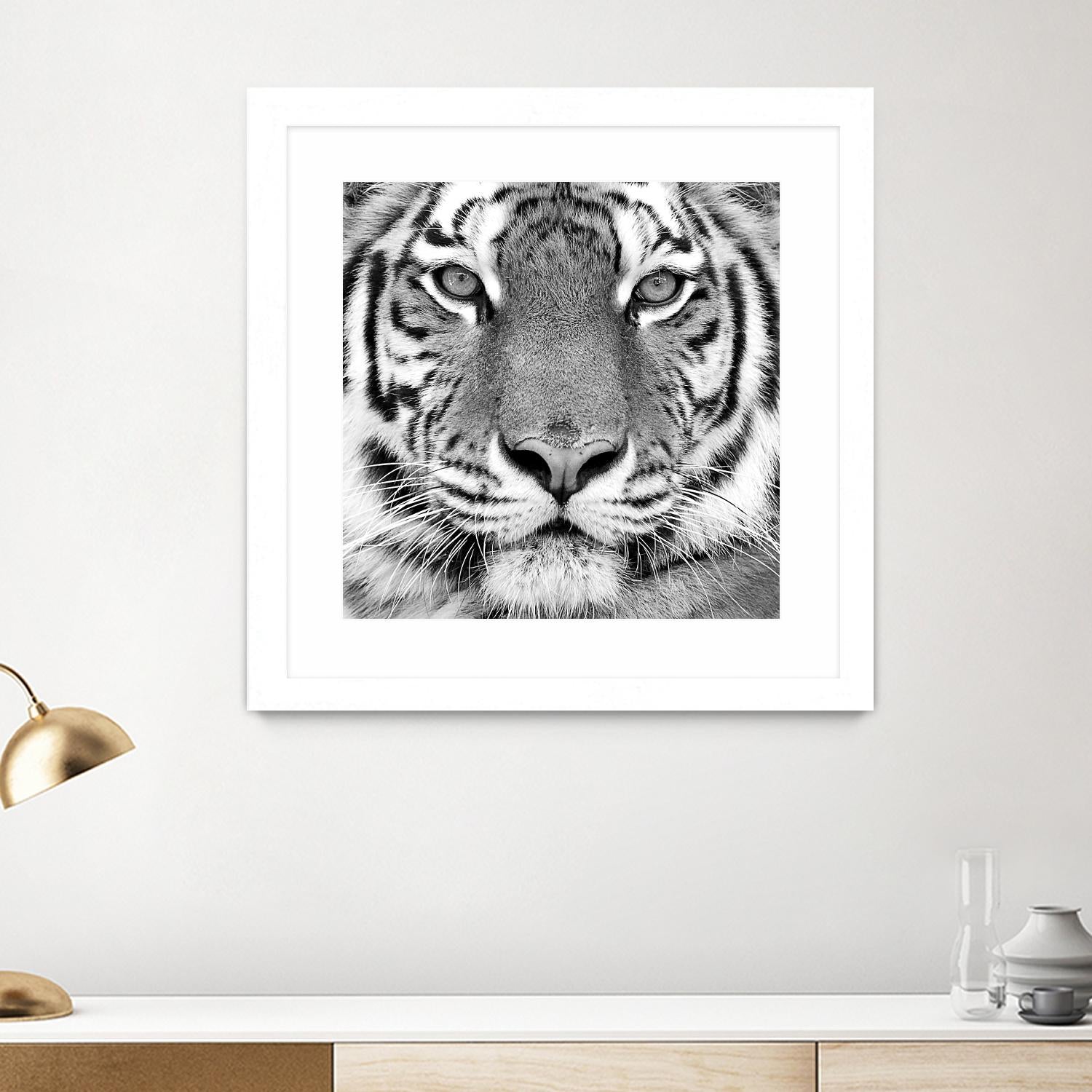 Tiger by PhotoINC Studio on GIANT ART - white animals