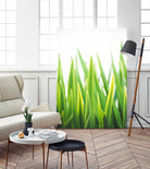 Blades of Green No. 2 by Sonja Quintero on GIANT ART - green floral/still life, photography