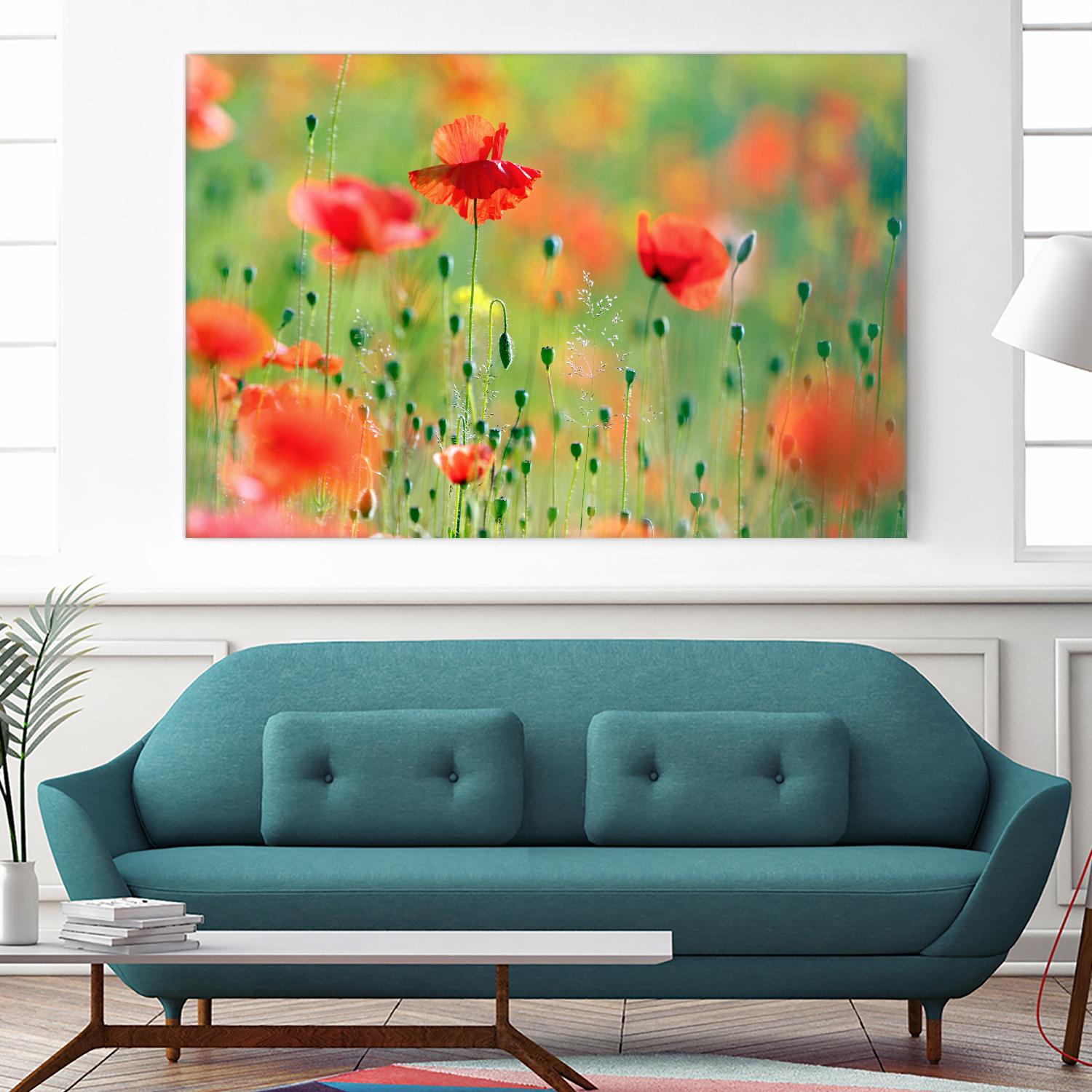 United Colors of Summer by Roeselien Raimond on GIANT ART - multicolor photography; floral/still life; landscapes