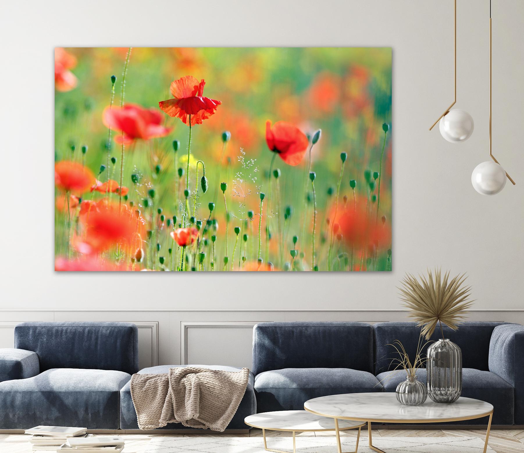 United Colors of Summer by Roeselien Raimond on GIANT ART - multicolor photography; floral/still life; landscapes