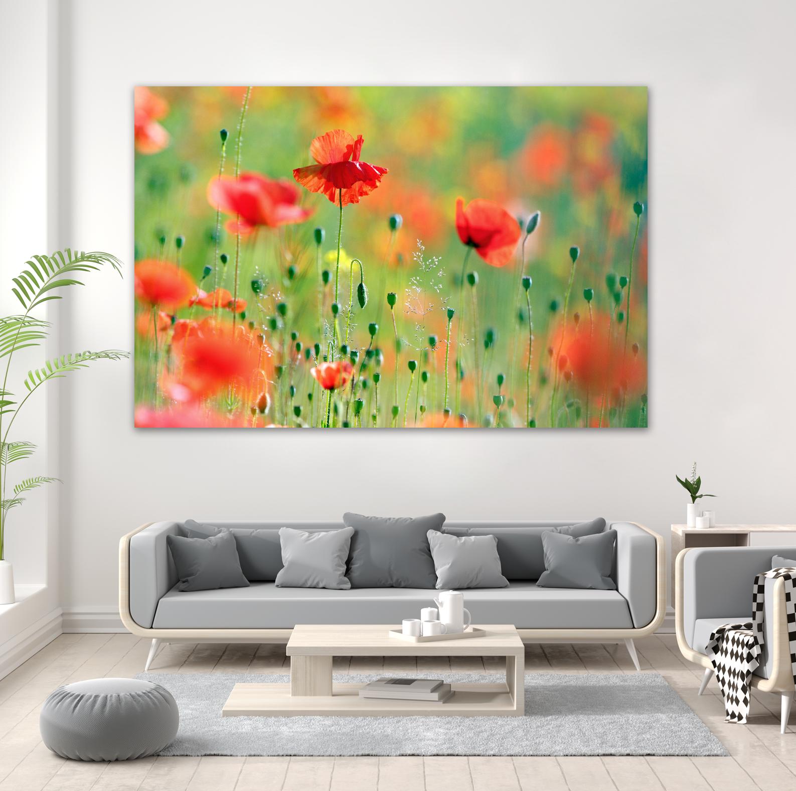 United Colors of Summer by Roeselien Raimond on GIANT ART - multicolor photography; floral/still life; landscapes