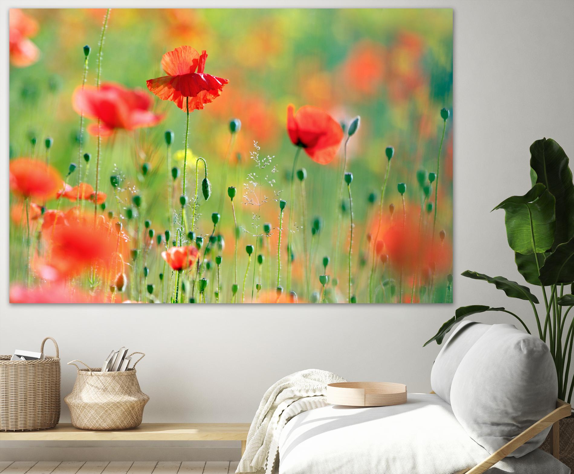 United Colors of Summer by Roeselien Raimond on GIANT ART - multicolor photography; floral/still life; landscapes