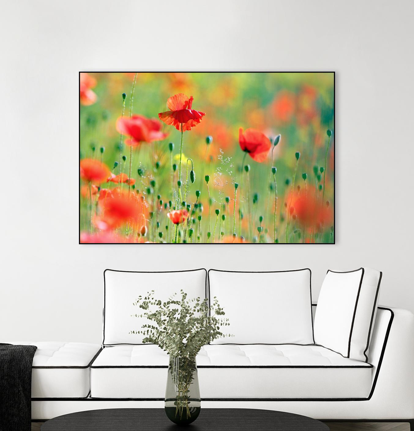 United Colors of Summer by Roeselien Raimond on GIANT ART - multicolor photography; floral/still life; landscapes