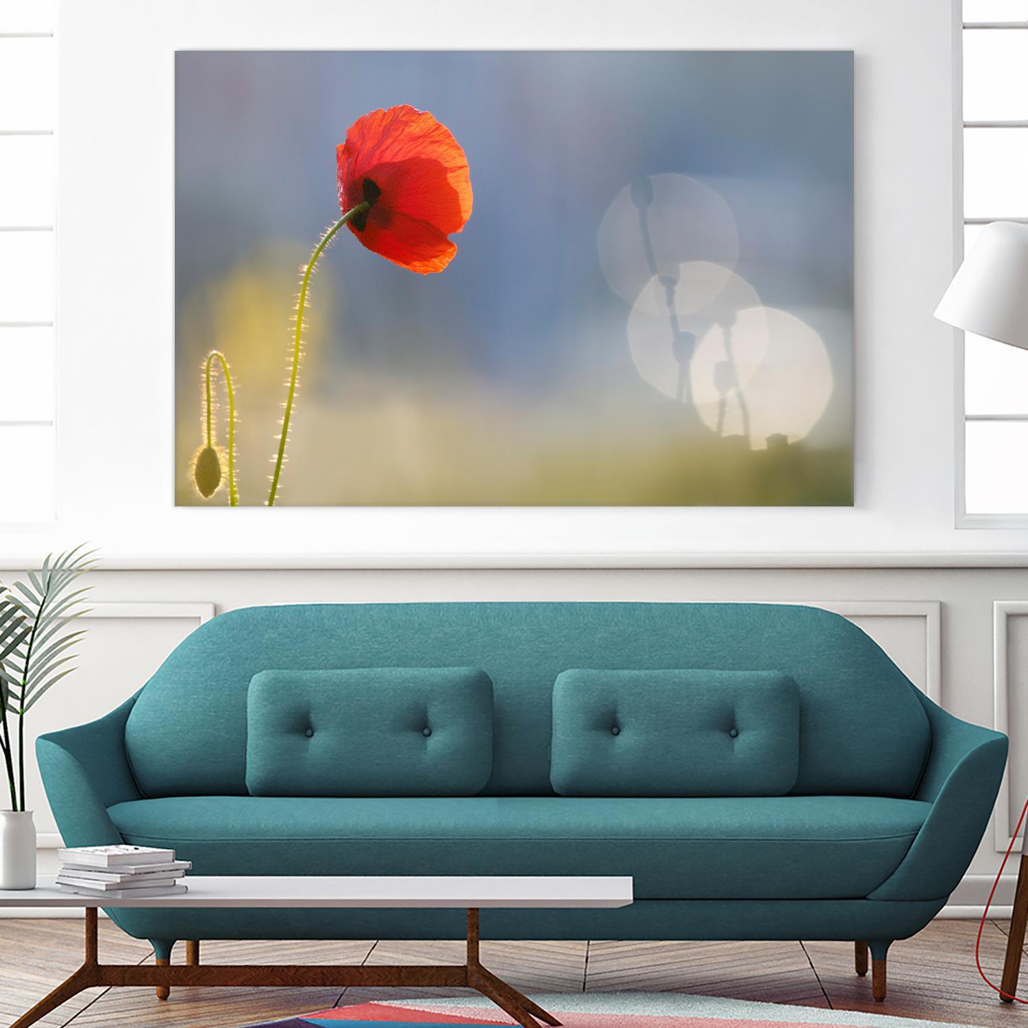 Echoes by Roeselien Raimond on GIANT ART - multicolor photography; floral/still life; landscapes