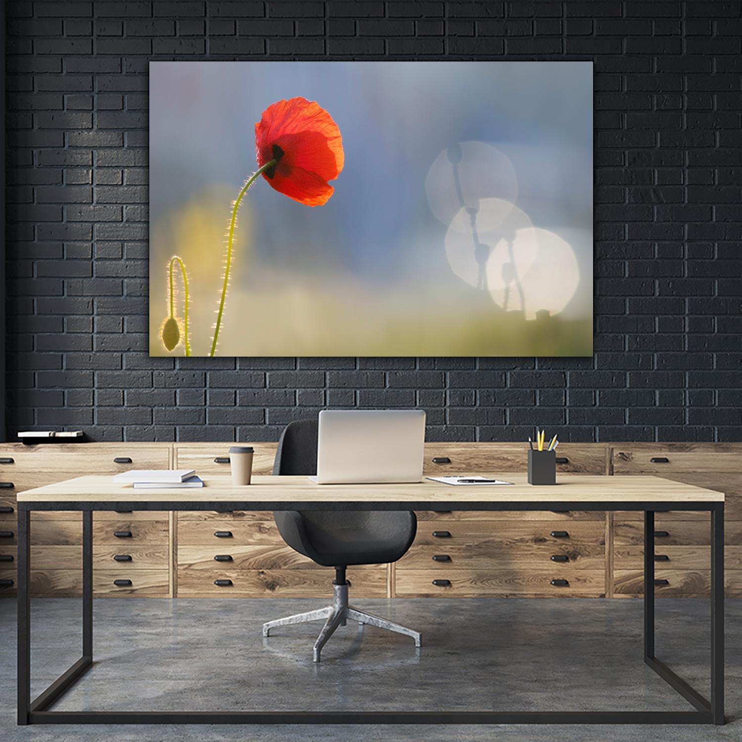 Echoes by Roeselien Raimond on GIANT ART - multicolor photography; floral/still life; landscapes