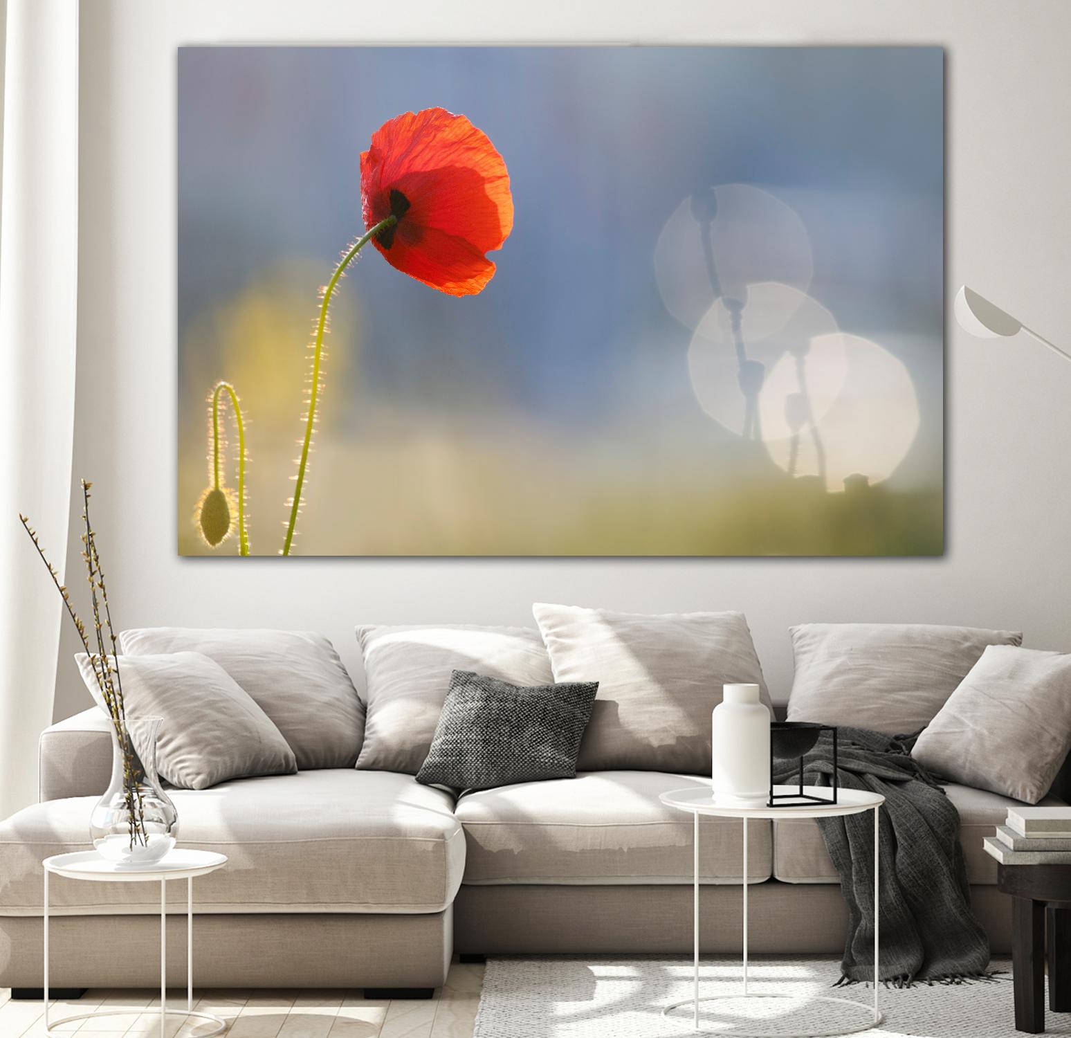 Echoes by Roeselien Raimond on GIANT ART - multicolor photography; floral/still life; landscapes