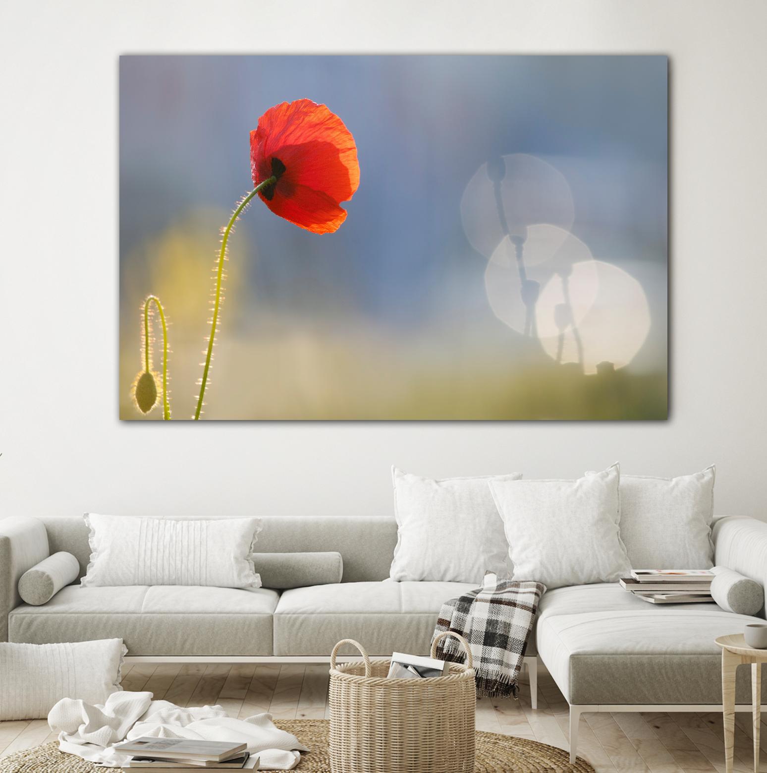 Echoes by Roeselien Raimond on GIANT ART - multicolor photography; floral/still life; landscapes