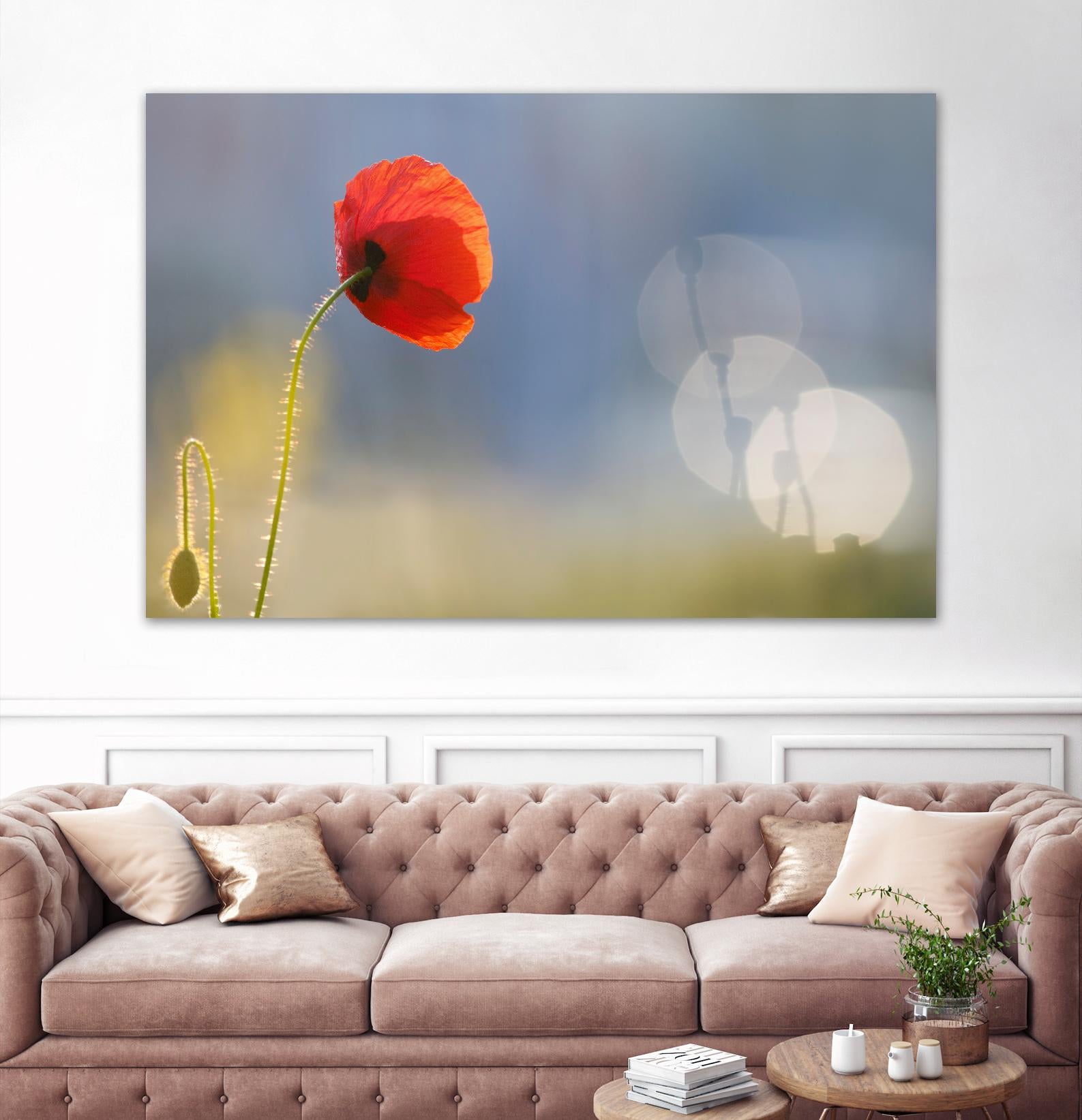 Echoes by Roeselien Raimond on GIANT ART - multicolor photography; floral/still life; landscapes