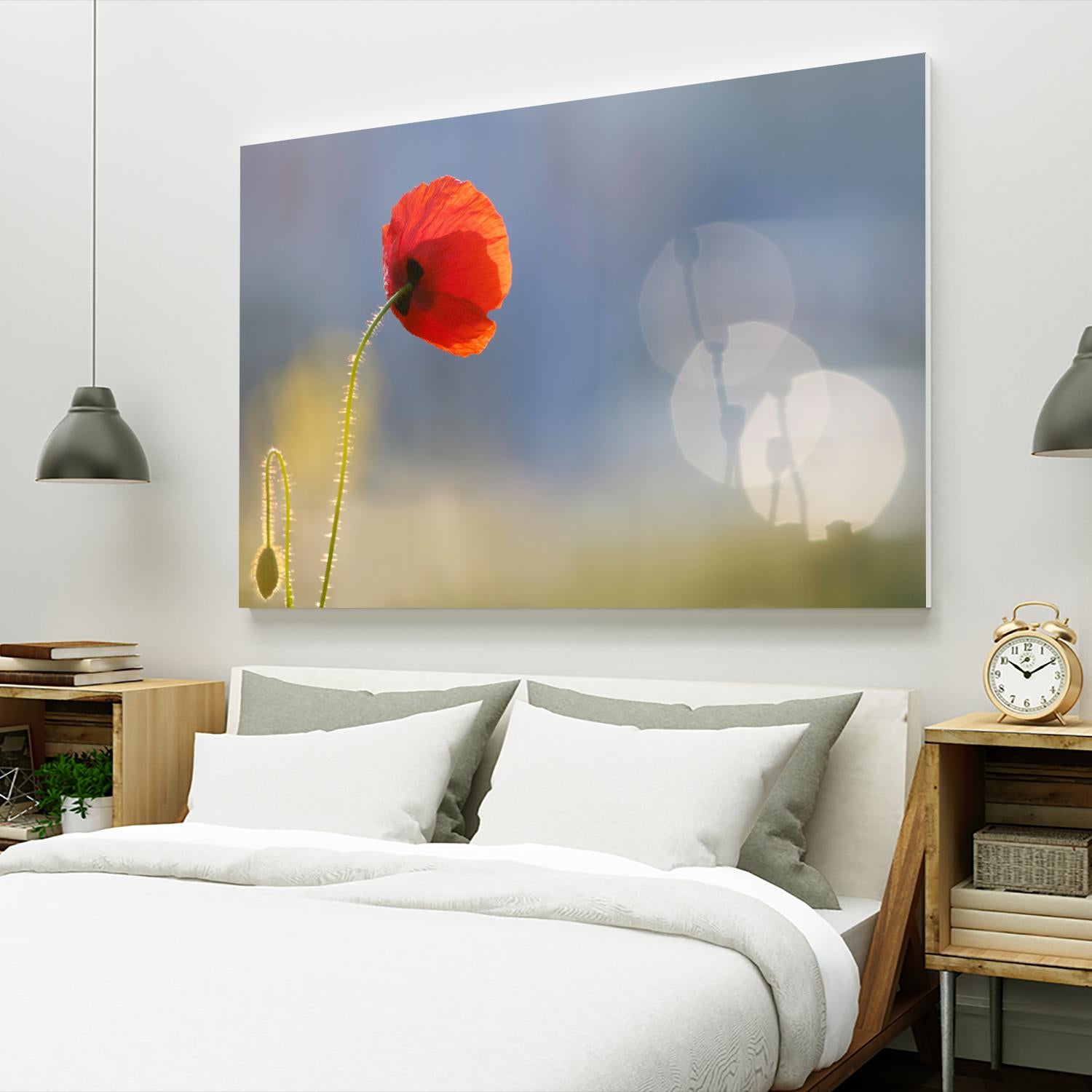 Echoes by Roeselien Raimond on GIANT ART - multicolor photography; floral/still life; landscapes