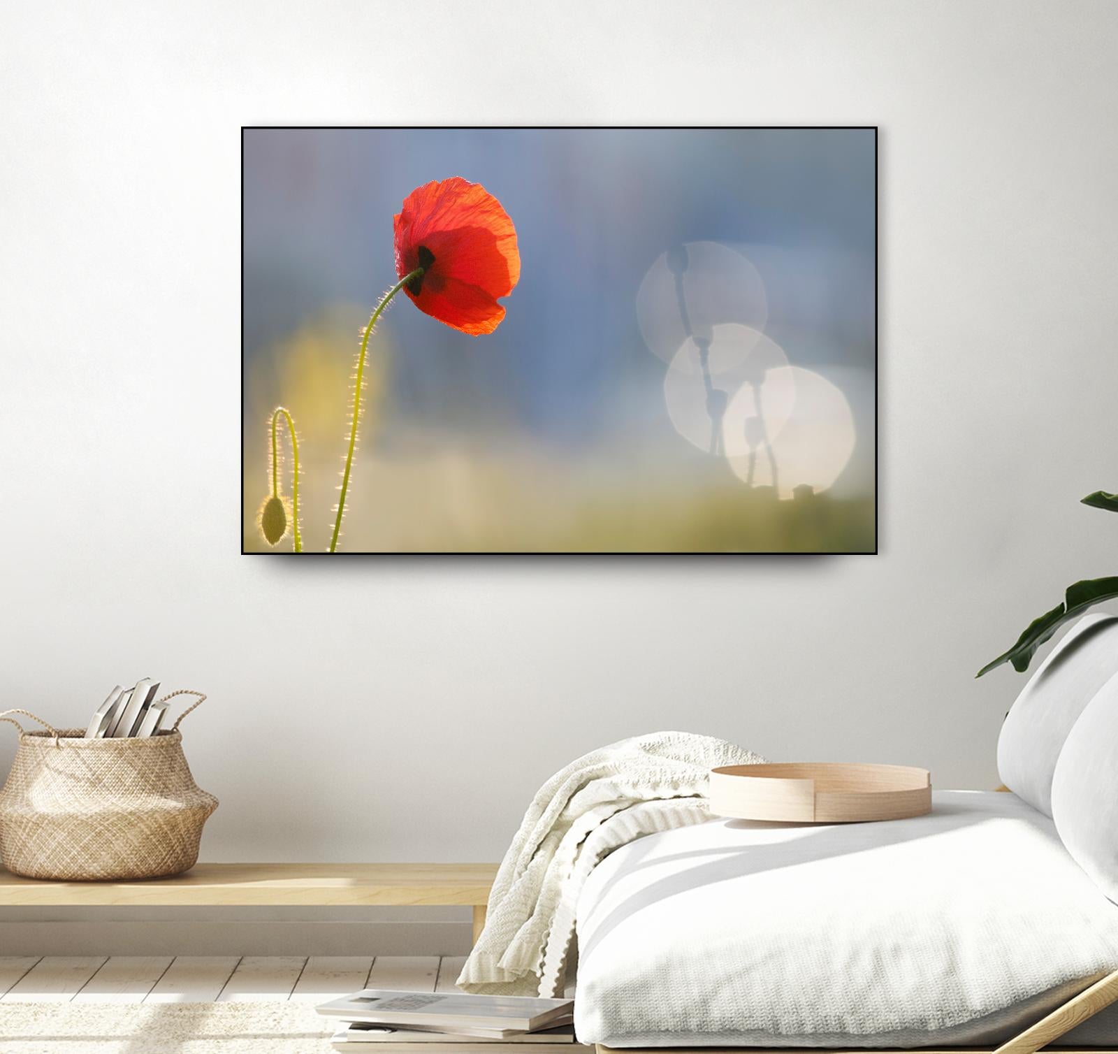 Echoes by Roeselien Raimond on GIANT ART - multicolor photography; floral/still life; landscapes