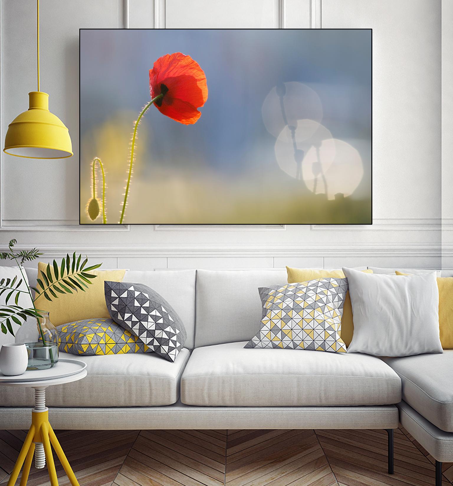 Echoes by Roeselien Raimond on GIANT ART - multicolor photography; floral/still life; landscapes