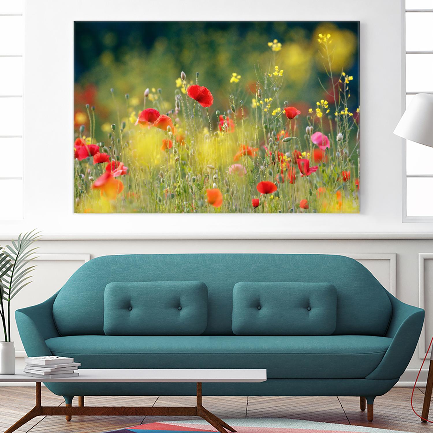 Just a Perfect Day by Roeselien Raimond on GIANT ART - multicolor photography; floral/still life; landscapes