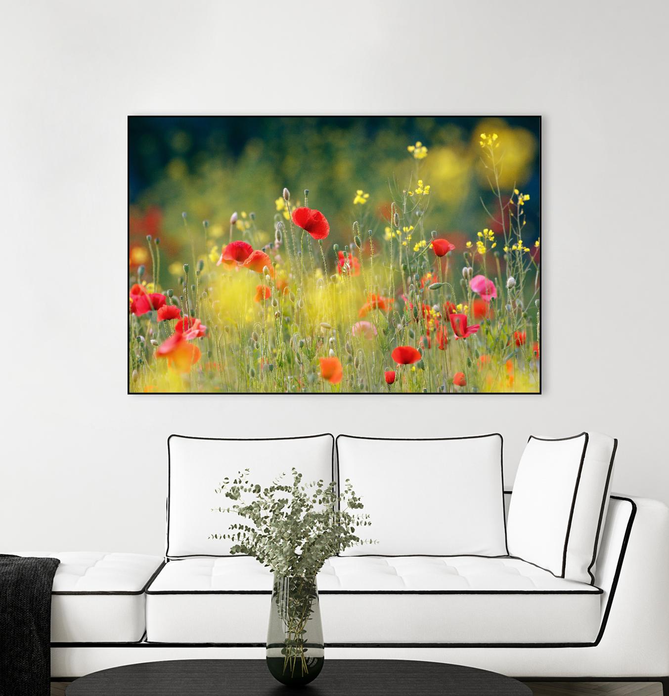 Just a Perfect Day by Roeselien Raimond on GIANT ART - multicolor photography; floral/still life; landscapes