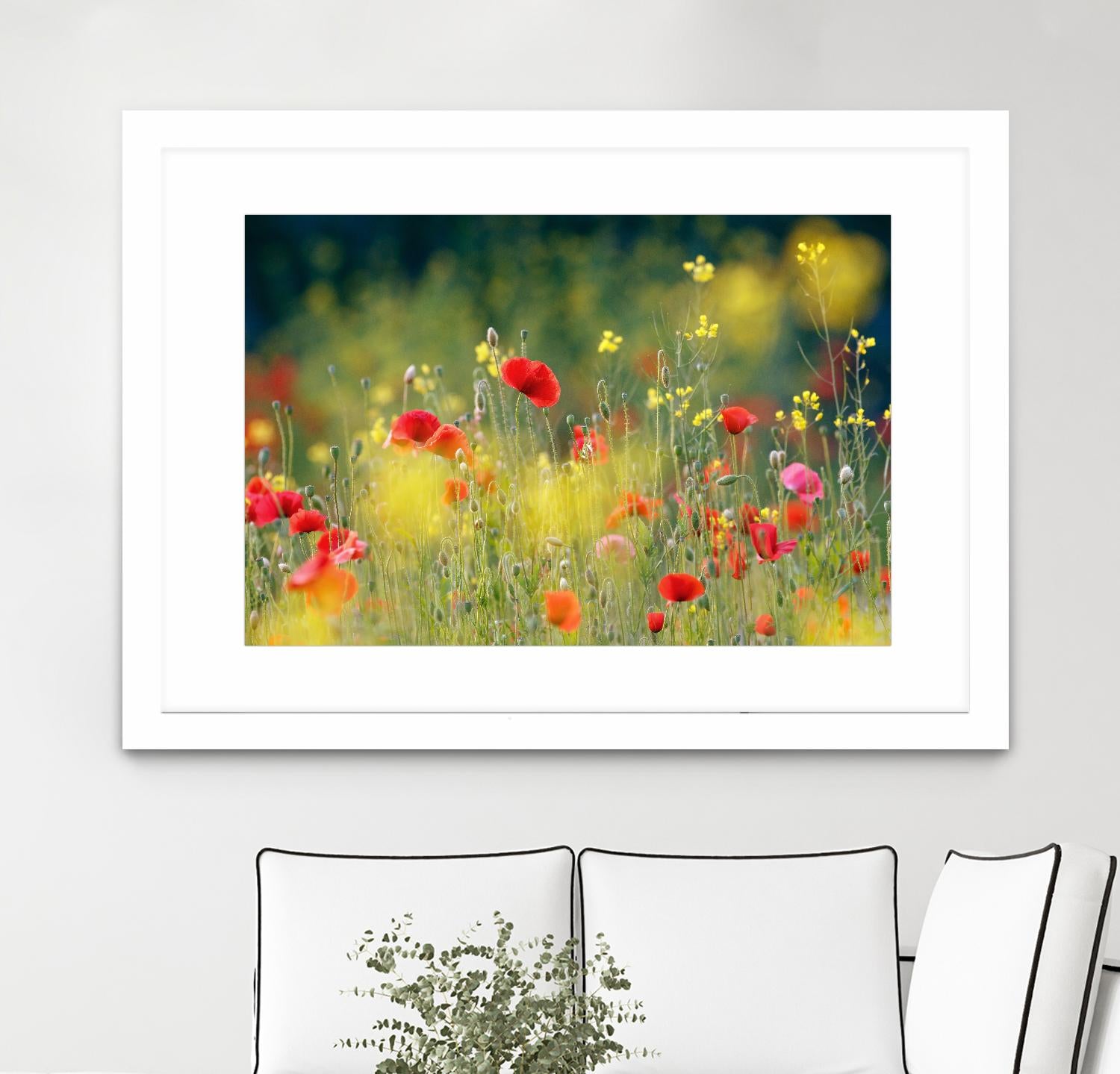 Just a Perfect Day by Roeselien Raimond on GIANT ART - multicolor photography; floral/still life; landscapes