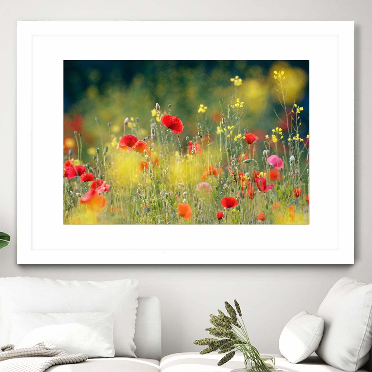 Just a Perfect Day by Roeselien Raimond on GIANT ART - multicolor photography; floral/still life; landscapes