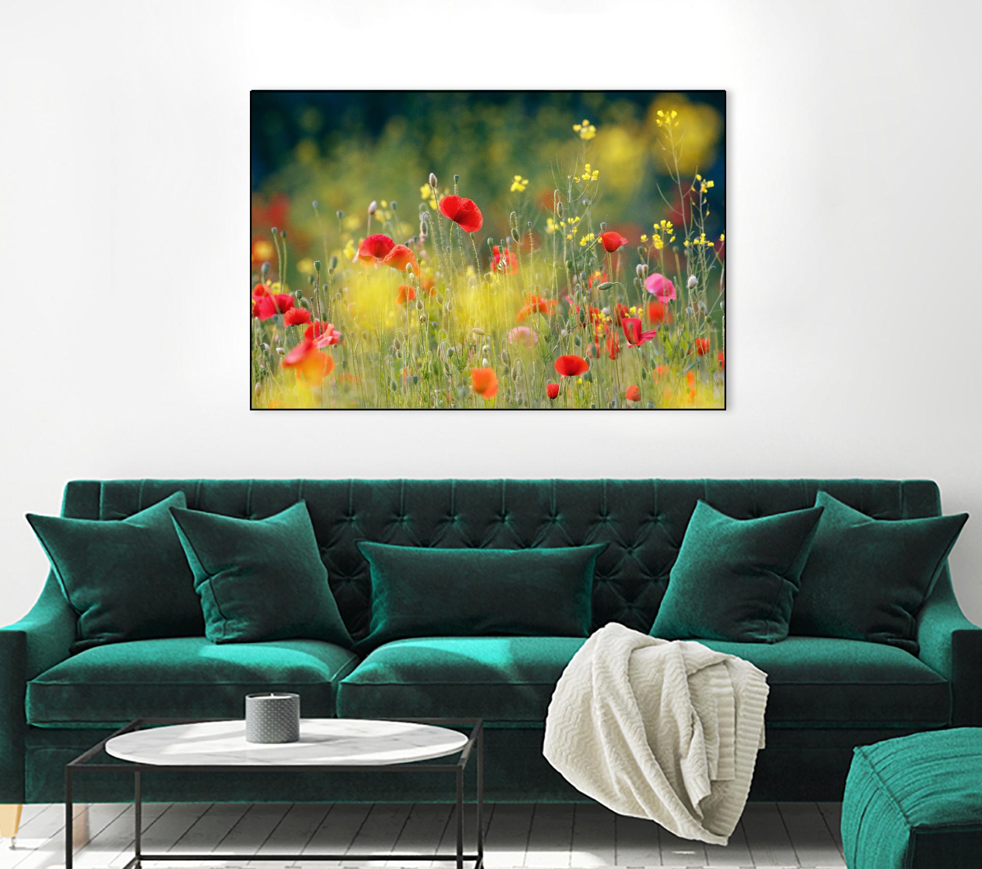 Just a Perfect Day by Roeselien Raimond on GIANT ART - multicolor photography; floral/still life; landscapes