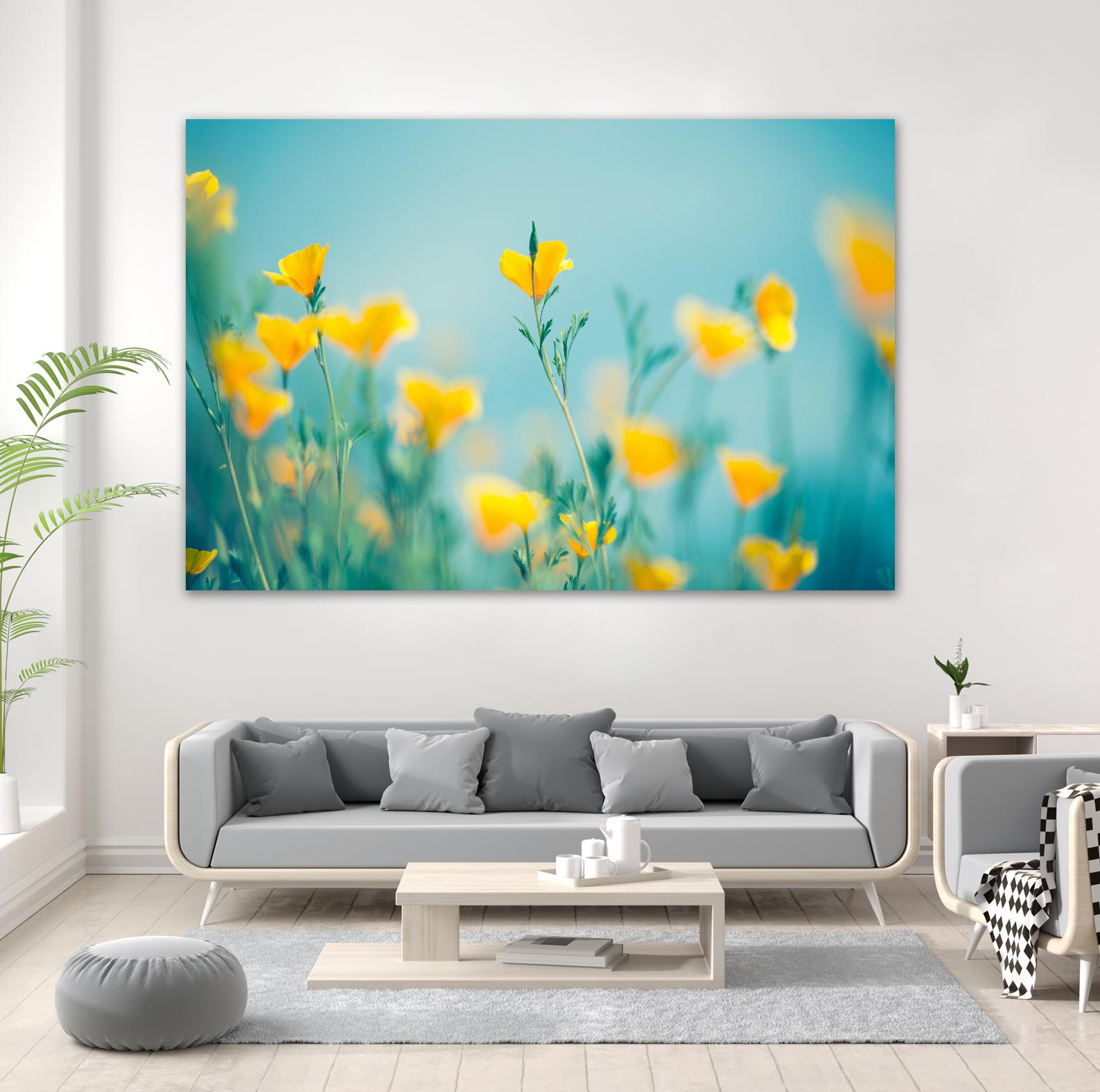 California Dream by Lee Sie on GIANT ART - multicolor photography; floral/still life