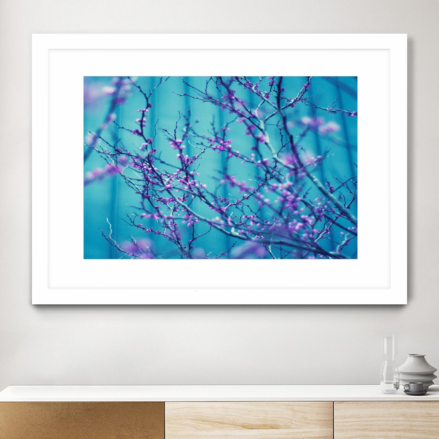 Sacre Bleu by Lee Sie on GIANT ART - multicolor photography; floral/still life