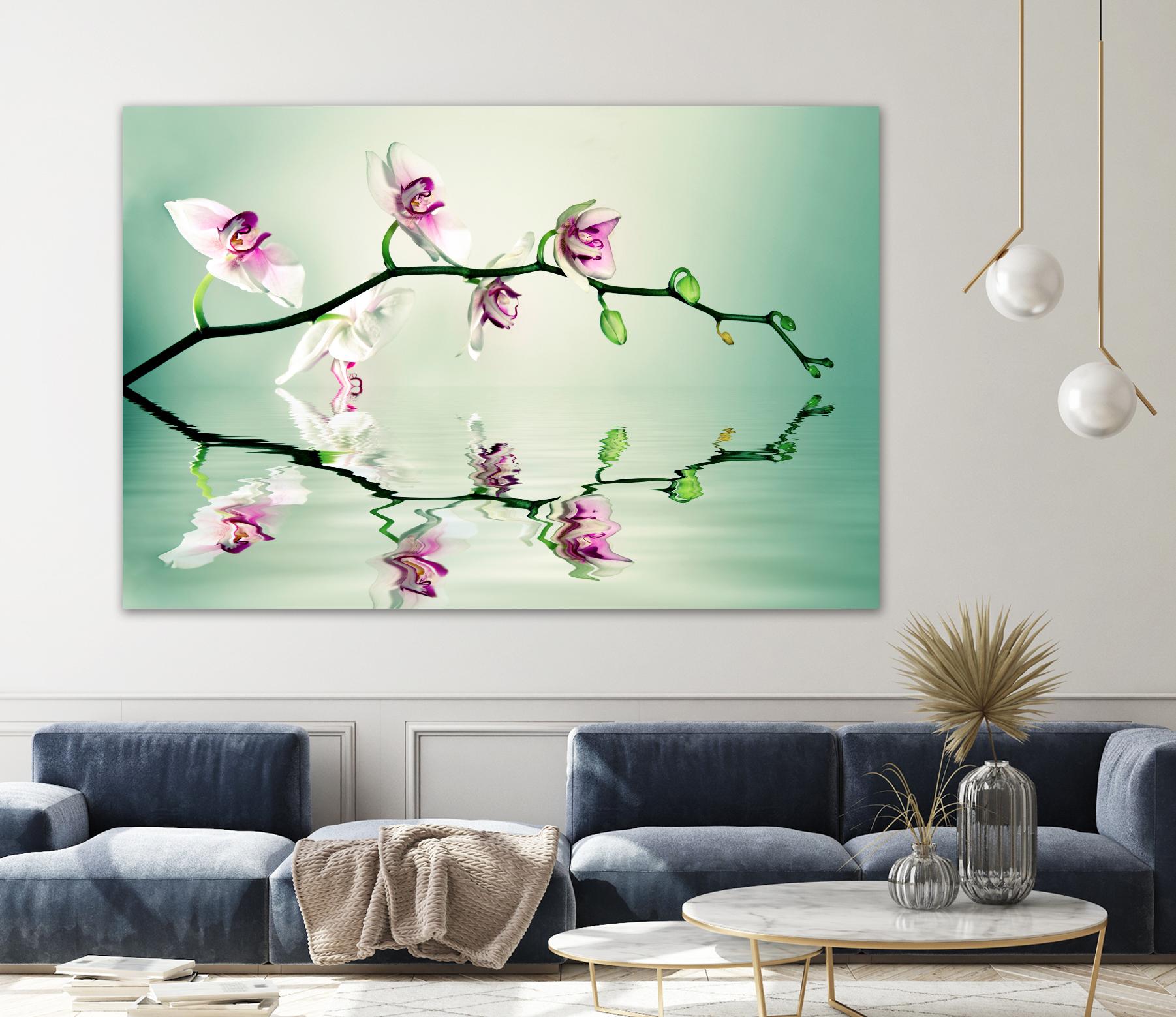 Zen by Lee Sie on GIANT ART - multicolor photography; floral/still life