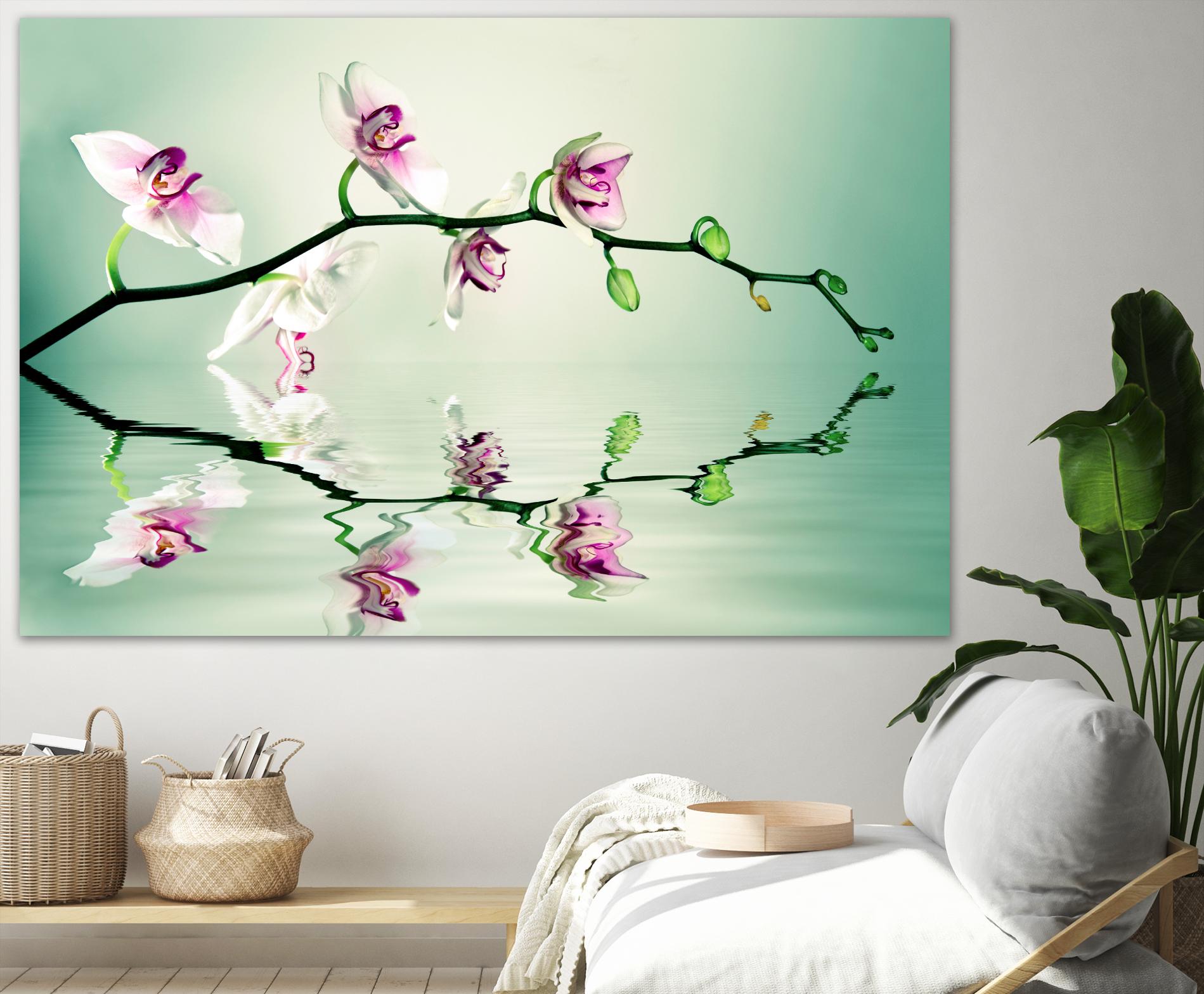 Zen by Lee Sie on GIANT ART - multicolor photography; floral/still life