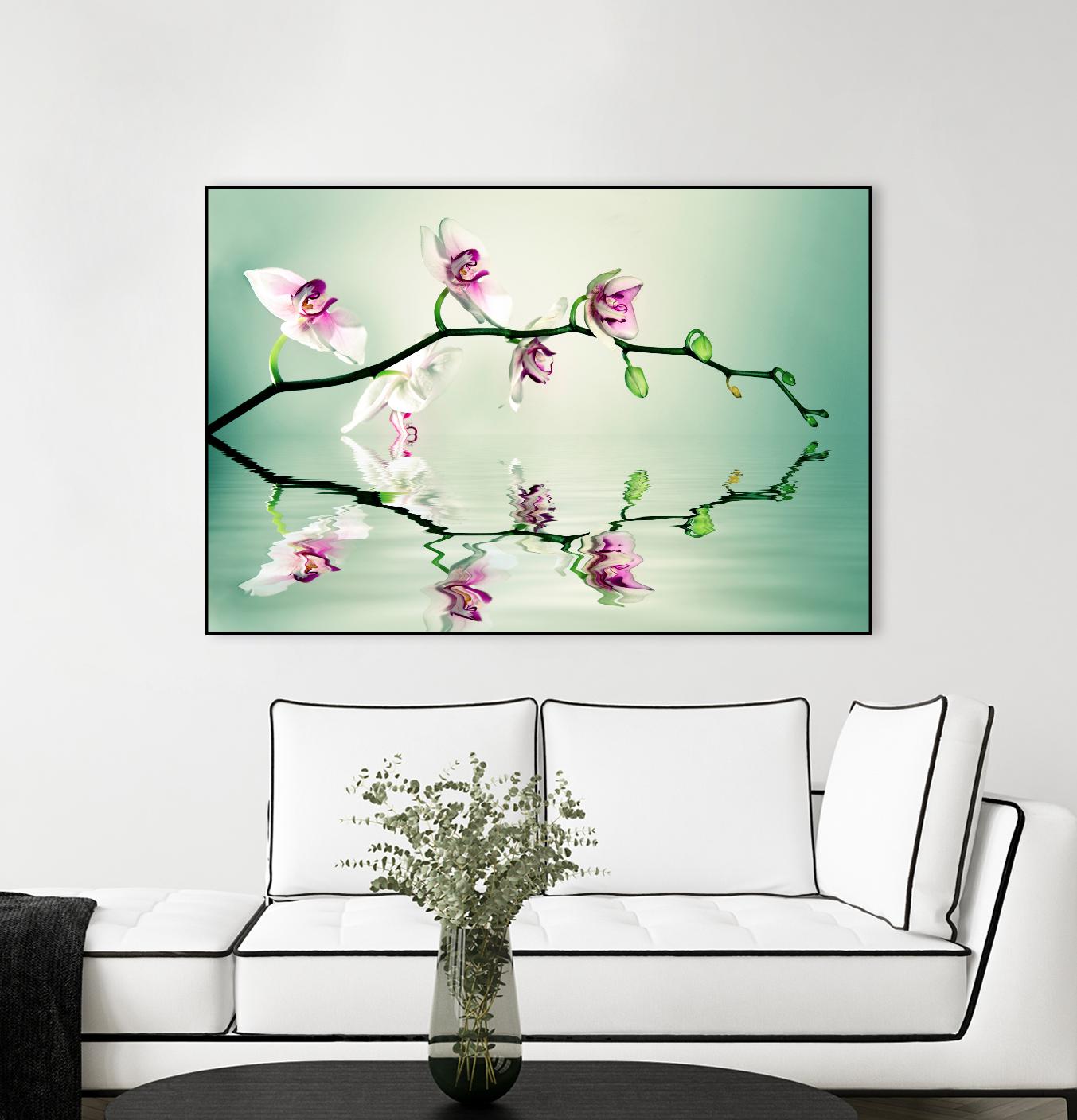 Zen by Lee Sie on GIANT ART - multicolor photography; floral/still life