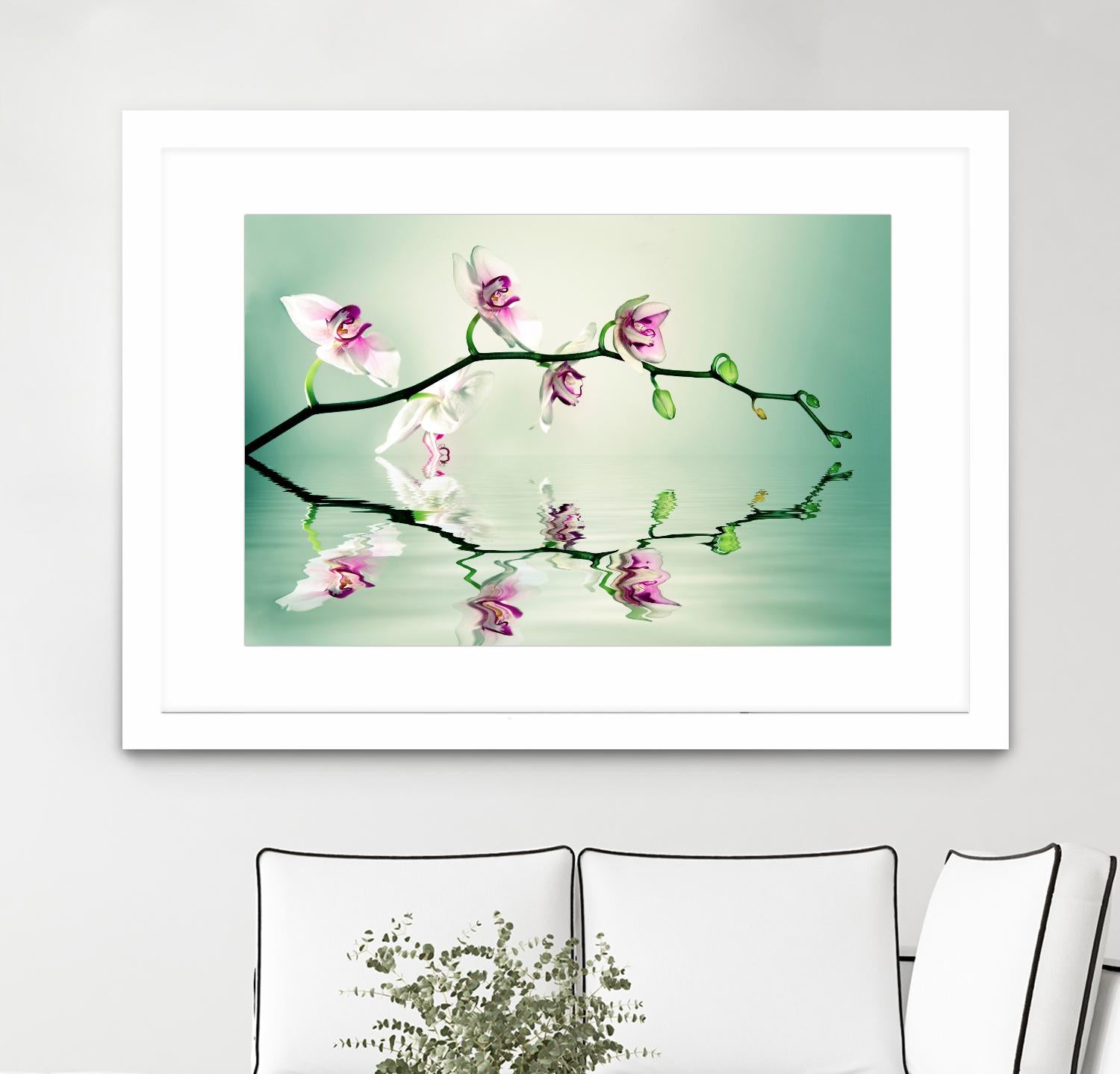 Zen by Lee Sie on GIANT ART - multicolor photography; floral/still life