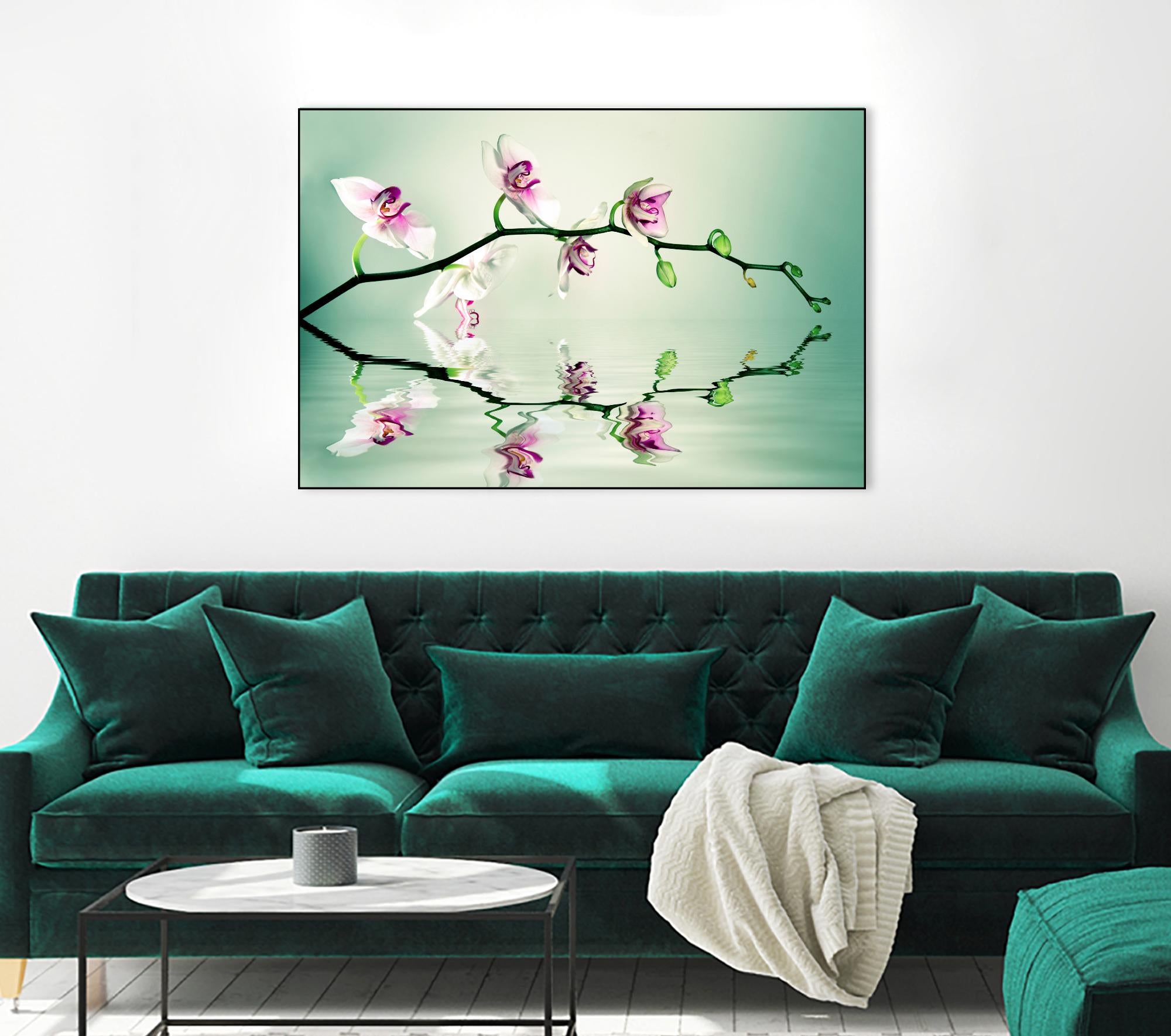 Zen by Lee Sie on GIANT ART - multicolor photography; floral/still life