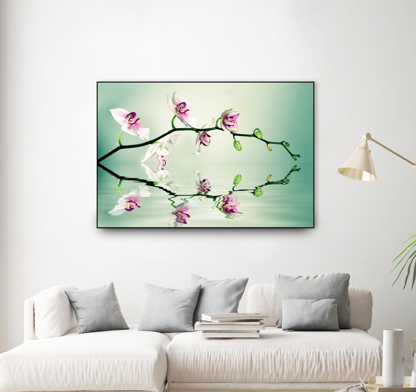 Zen by Lee Sie on GIANT ART - multicolor photography; floral/still life