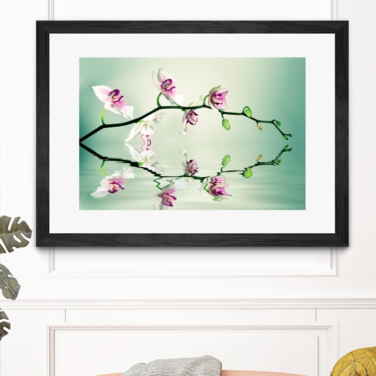 Zen by Lee Sie on GIANT ART - multicolor photography; floral/still life