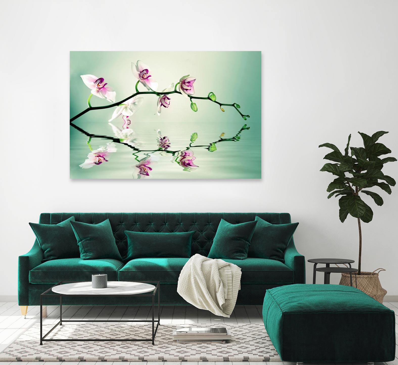 Zen by Lee Sie on GIANT ART - multicolor photography; floral/still life