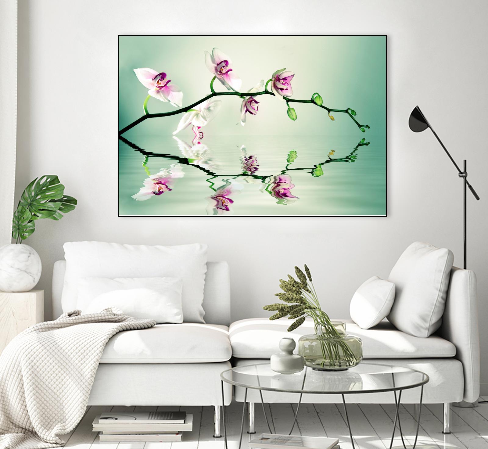 Zen by Lee Sie on GIANT ART - multicolor photography; floral/still life