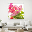 Parrot Tulip One by Judy Stalus on GIANT ART - multicolor photography; floral/still life