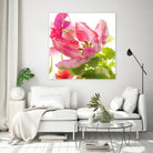 Parrot Tulip One by Judy Stalus on GIANT ART - multicolor photography; floral/still life