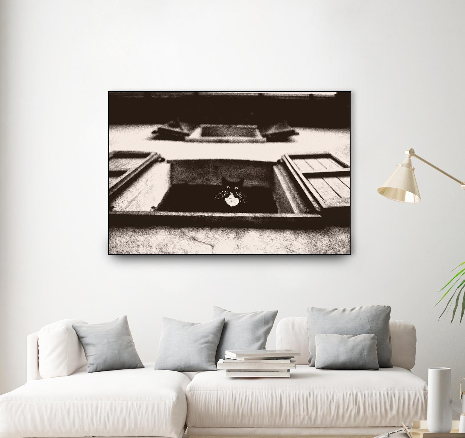 Dali the Cat by Lars Van de Goor on GIANT ART - beige animals