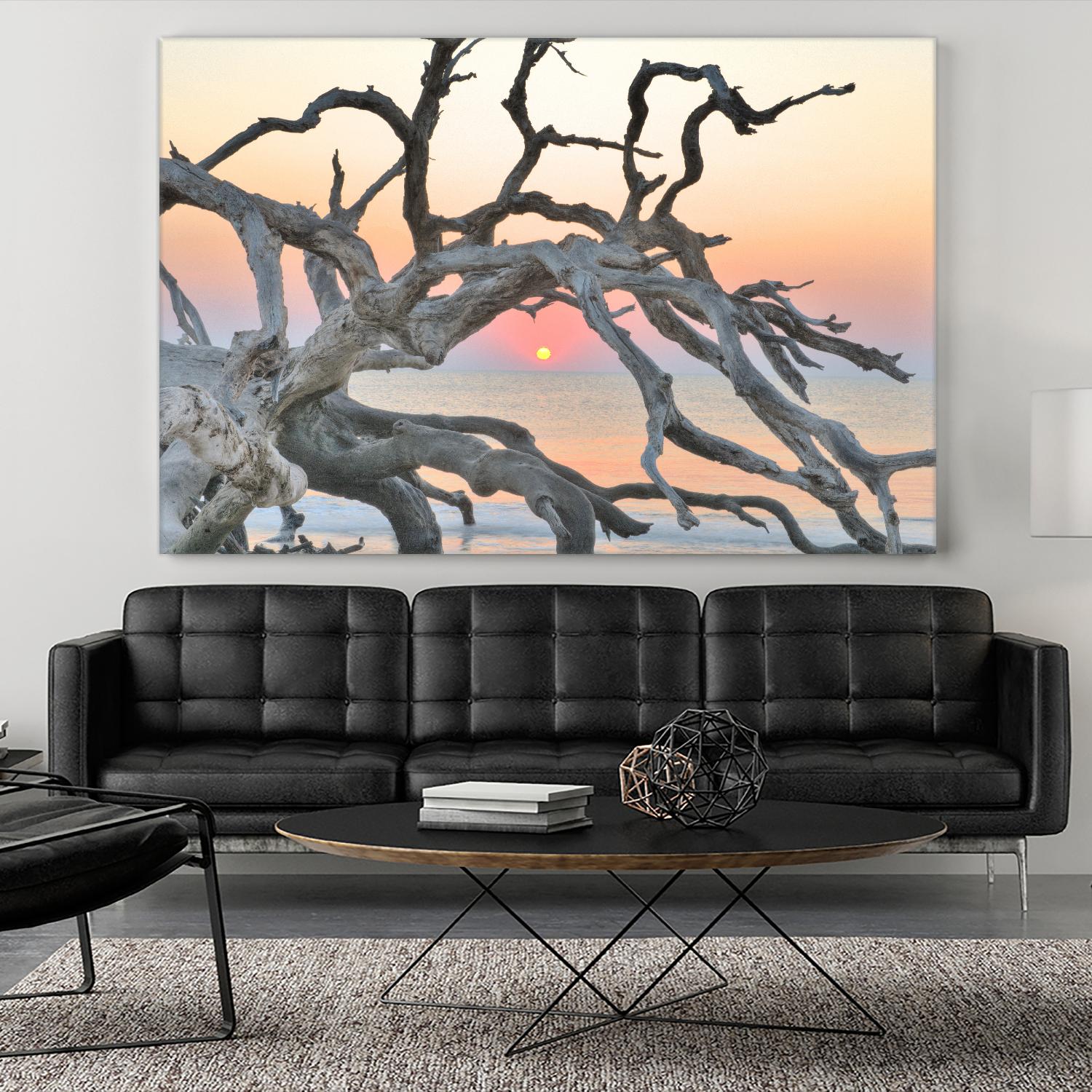 Sunrise Sentinel by Steve Vaughn on GIANT ART - multicolor photography; landscapes; coastal