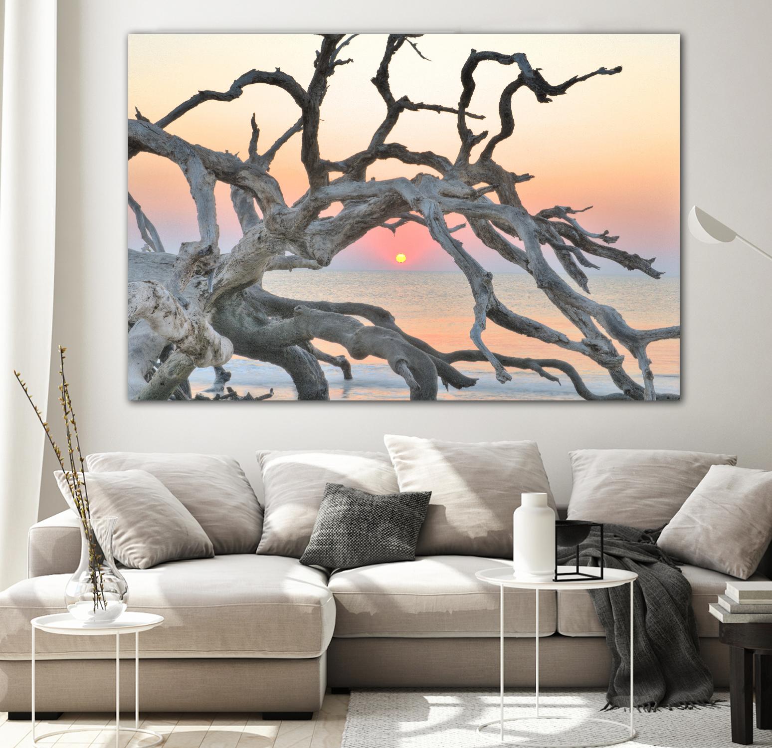 Sunrise Sentinel by Steve Vaughn on GIANT ART - multicolor photography; landscapes; coastal