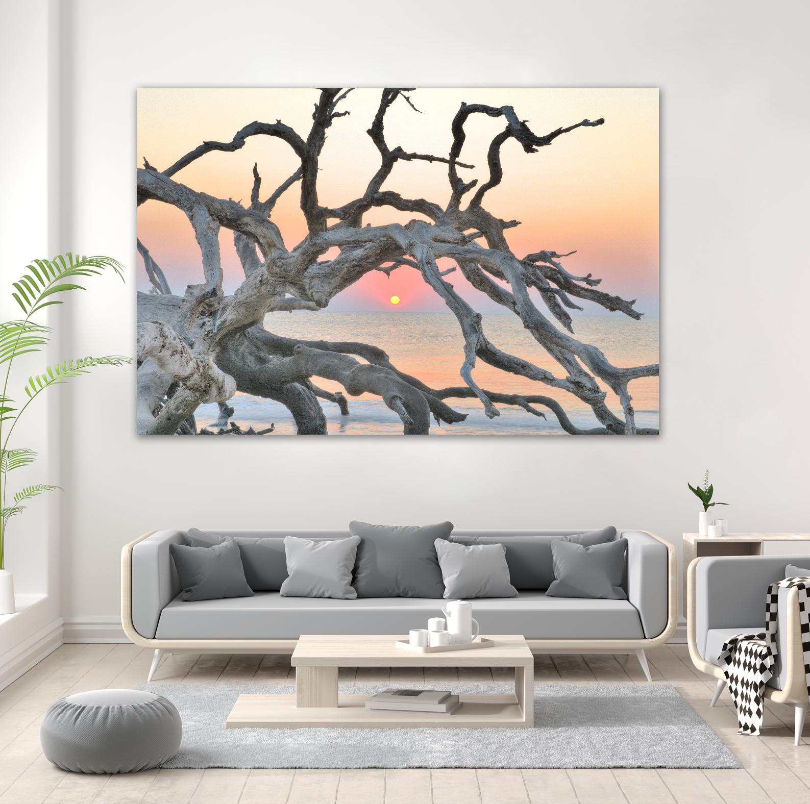 Sunrise Sentinel by Steve Vaughn on GIANT ART - multicolor photography; landscapes; coastal