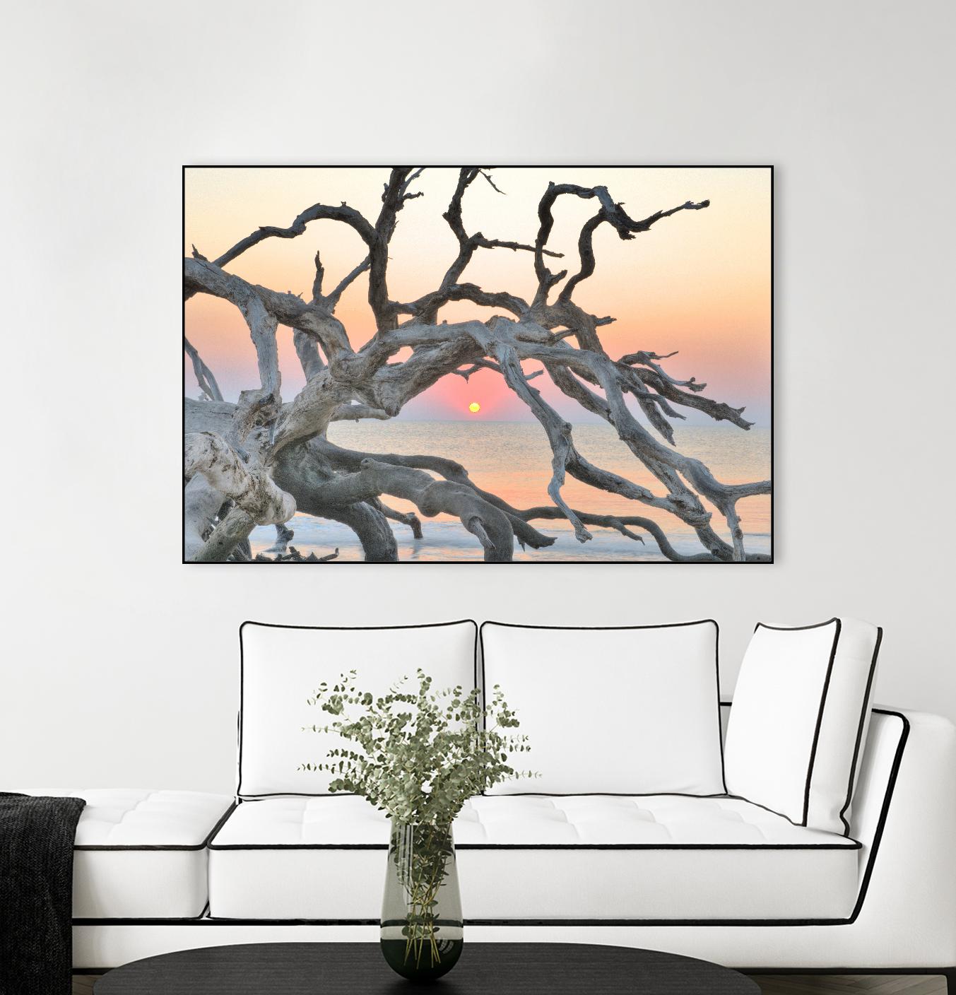 Sunrise Sentinel by Steve Vaughn on GIANT ART - multicolor photography; landscapes; coastal