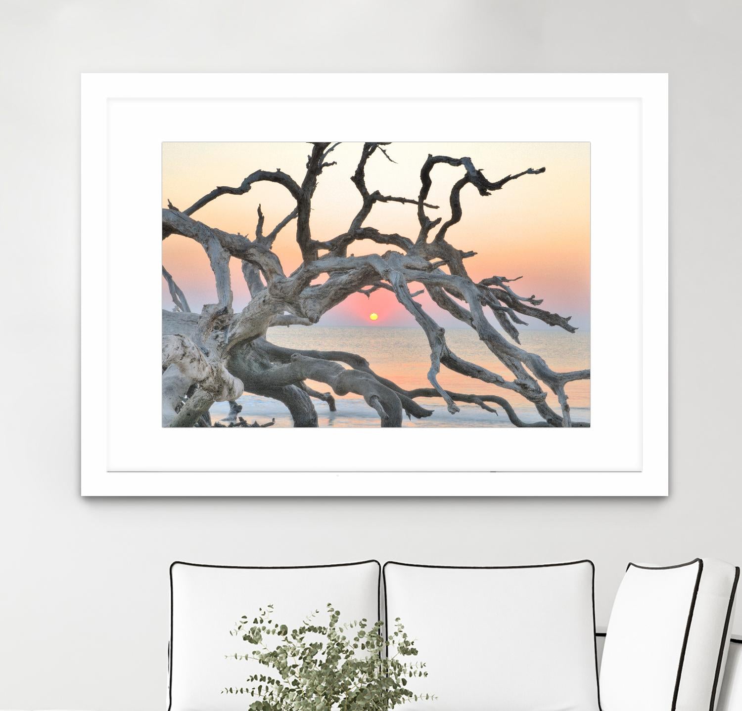 Sunrise Sentinel by Steve Vaughn on GIANT ART - multicolor photography; landscapes; coastal