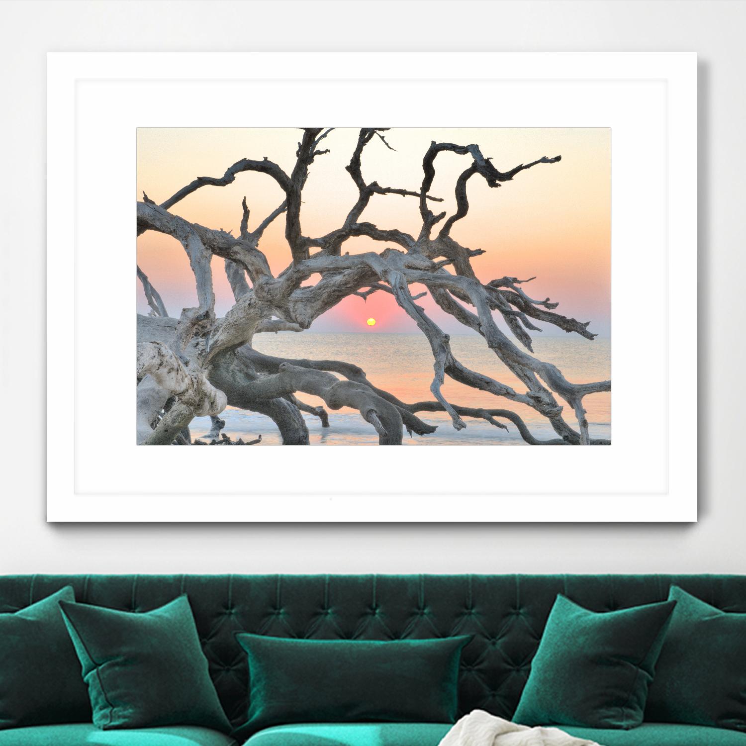 Sunrise Sentinel by Steve Vaughn on GIANT ART - multicolor photography; landscapes; coastal