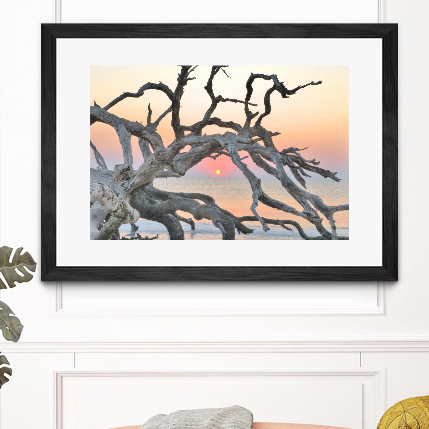 Sunrise Sentinel by Steve Vaughn on GIANT ART - multicolor photography; landscapes; coastal