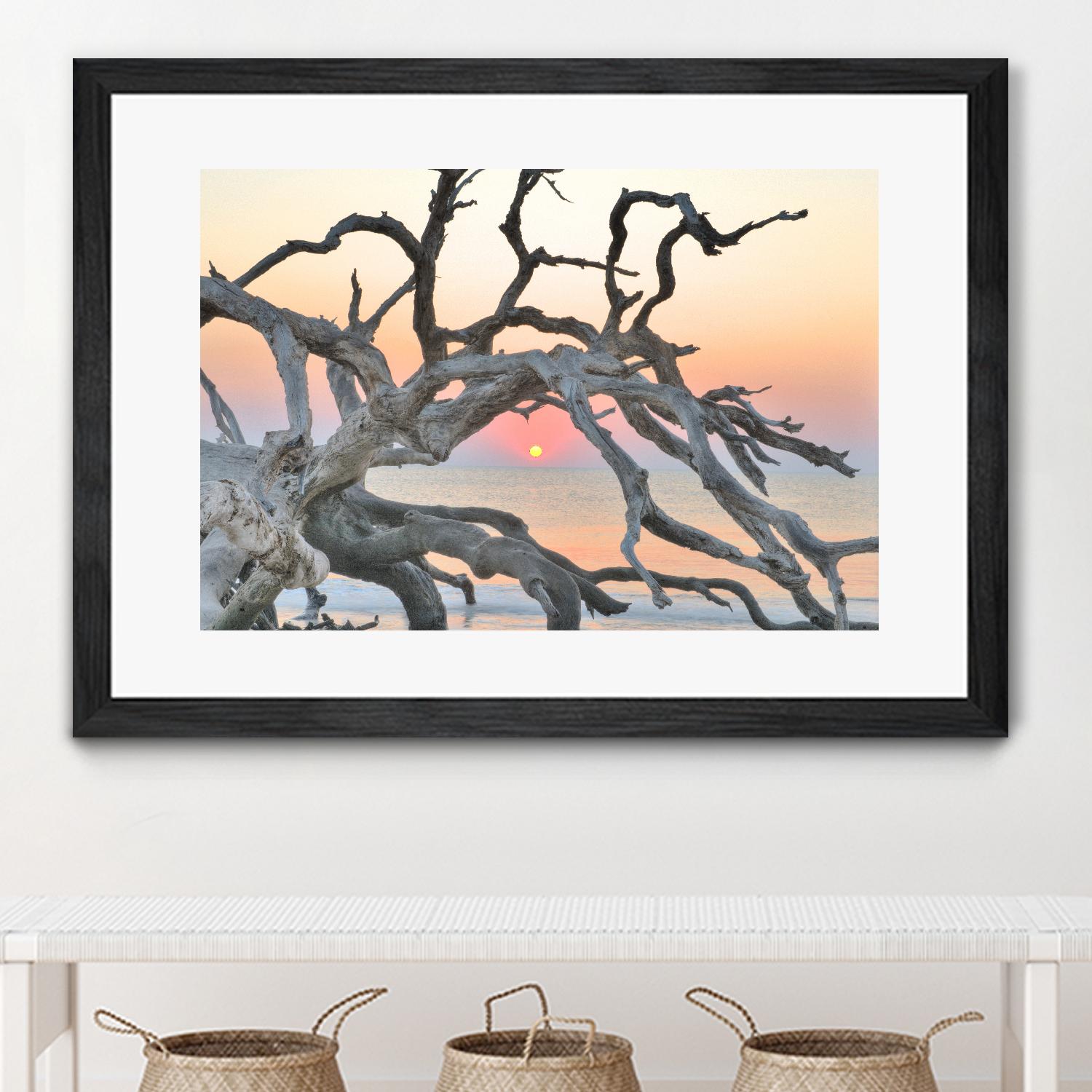 Sunrise Sentinel by Steve Vaughn on GIANT ART - multicolor photography; landscapes; coastal