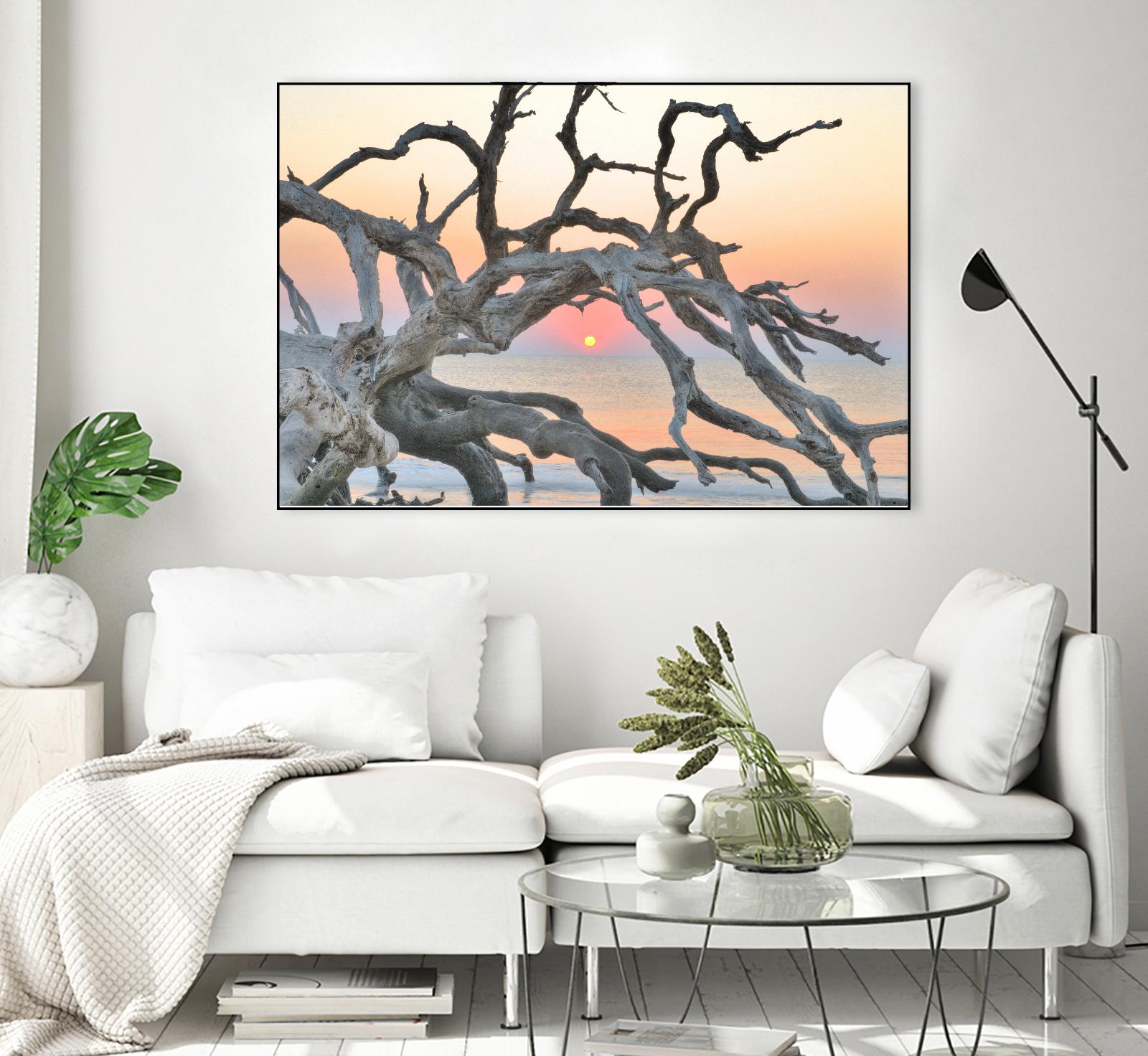 Sunrise Sentinel by Steve Vaughn on GIANT ART - multicolor photography; landscapes; coastal