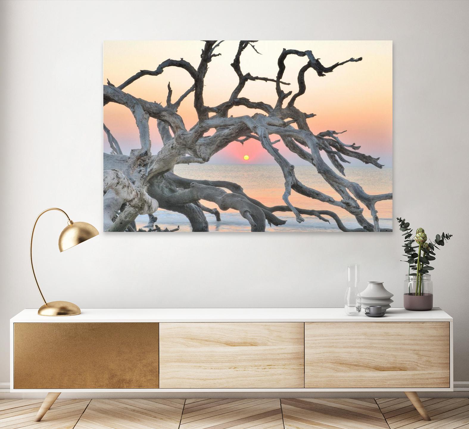 Sunrise Sentinel by Steve Vaughn on GIANT ART - multicolor photography; landscapes; coastal