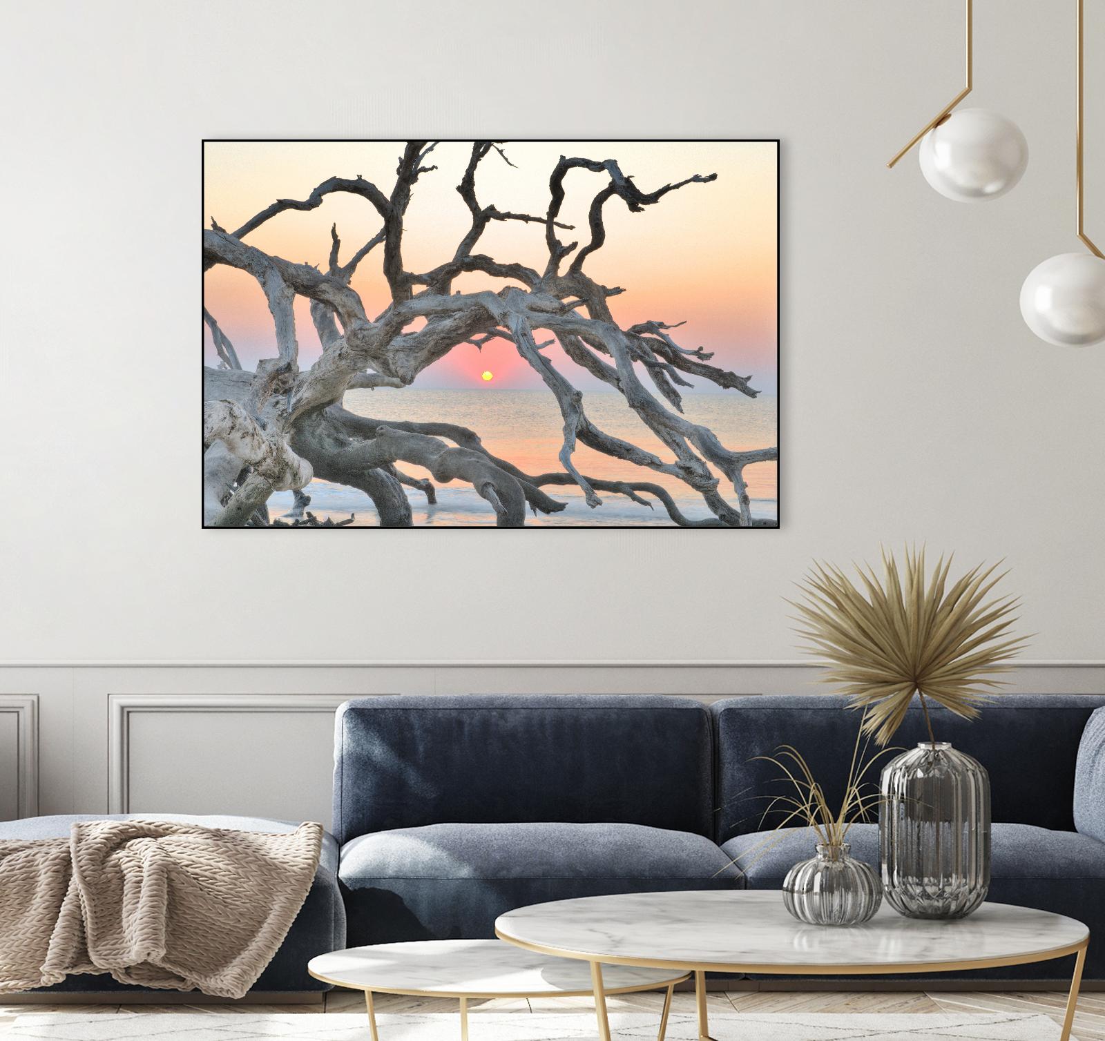 Sunrise Sentinel by Steve Vaughn on GIANT ART - multicolor photography; landscapes; coastal