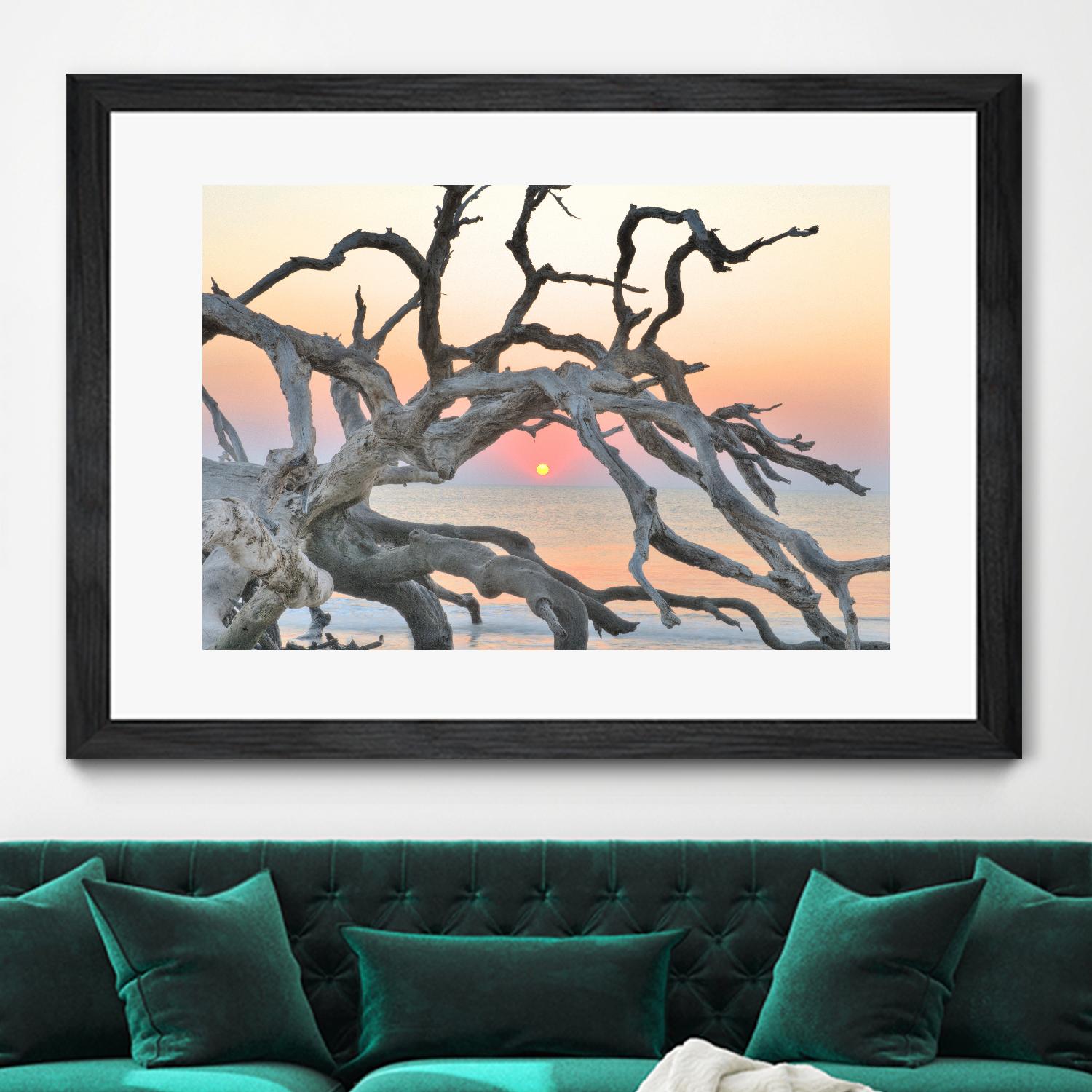 Sunrise Sentinel by Steve Vaughn on GIANT ART - multicolor photography; landscapes; coastal