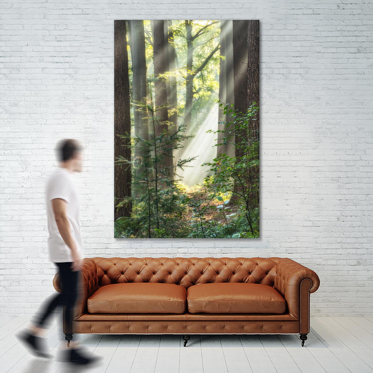 Sunbeam and Spiderweb by Lars Van de Goor on GIANT ART - multicolor photography; landscapes