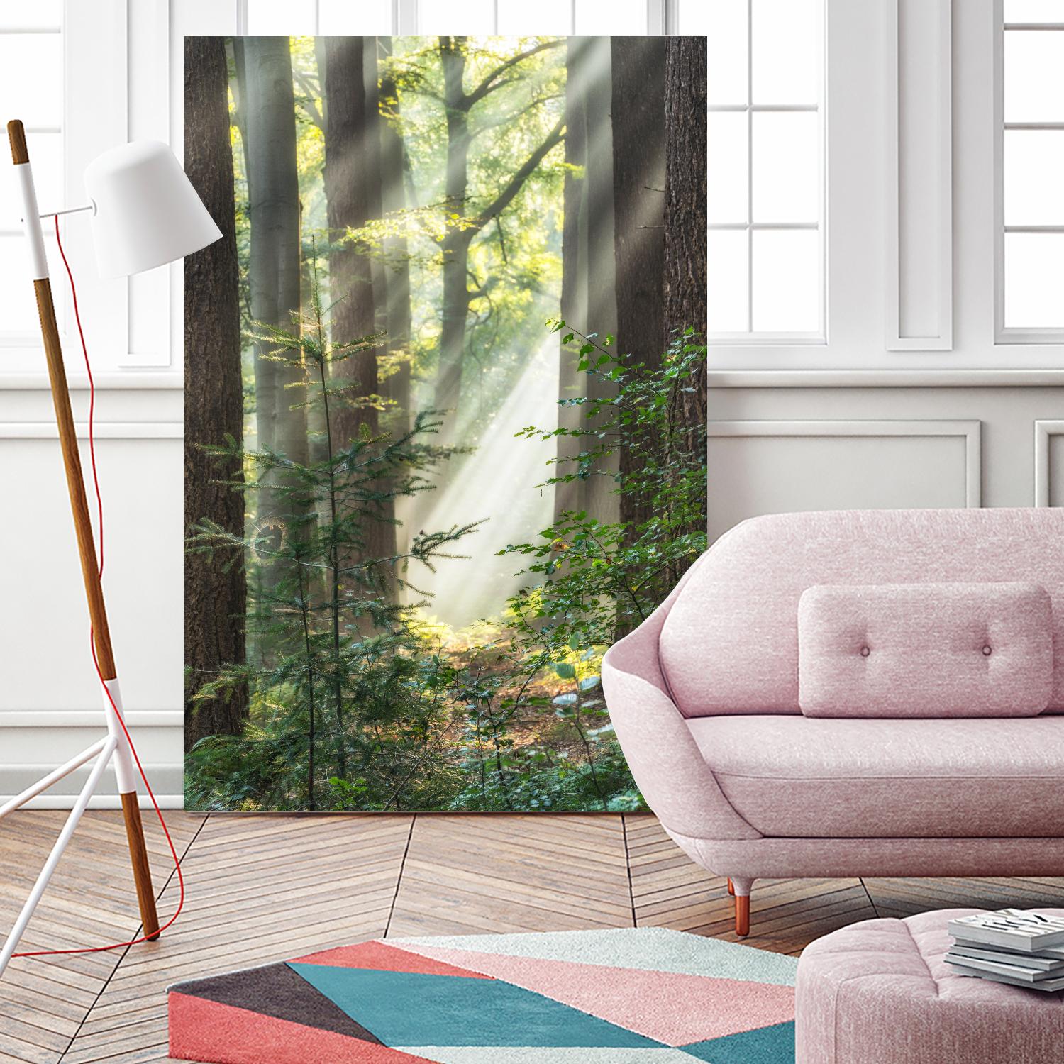 Sunbeam and Spiderweb by Lars Van de Goor on GIANT ART - multicolor photography; landscapes